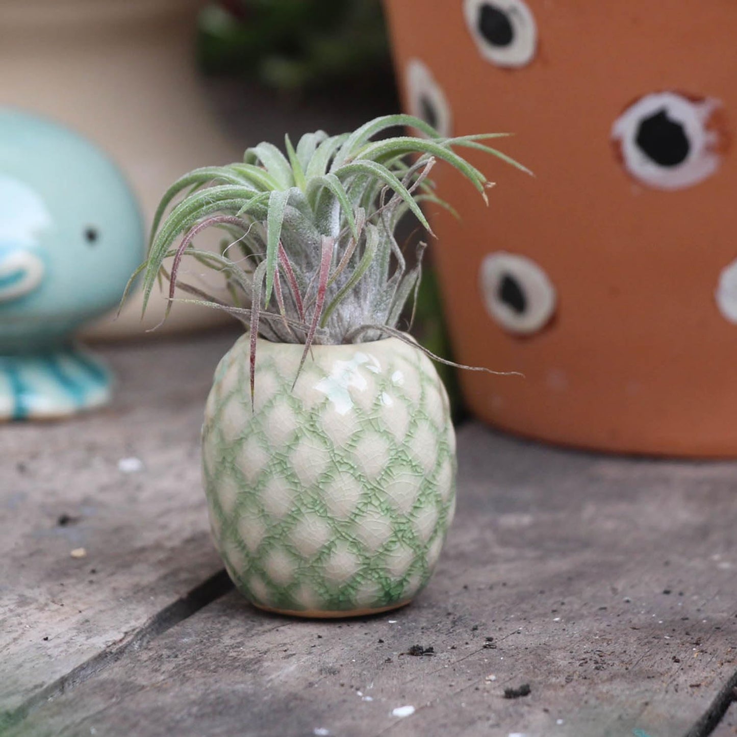 SCSFCVIUS Air Plant Holder Ceramic Planter - 4pcs Ceramic Cute Pineapple Air Plant Planter Tillandsia Airplants Table Countertop Holders (4 Pineapple)