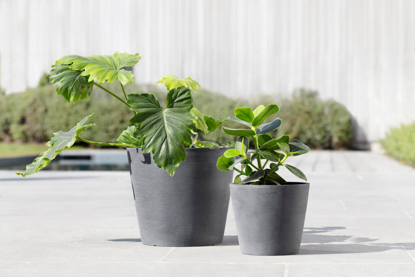 Ecopots Amsterdam Durable Modern Round Indoor/Outdoor Recycled-Based Composite Flower Pot Planter, Grey, 8"