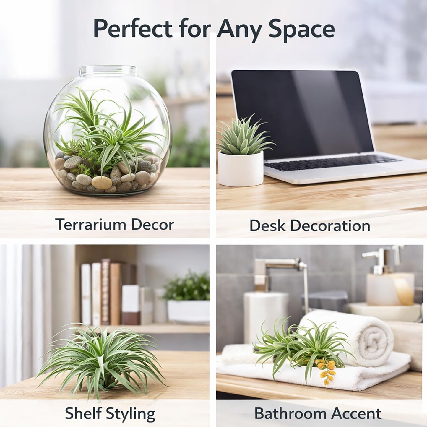 2 Pack Artificial Air Plants, Realistic Looking Faux Tillandsia Succulents Plants for Home Decor, Indoor Outdoor Garden, Terrarium, Office Desk, Wedding Displays (Green)