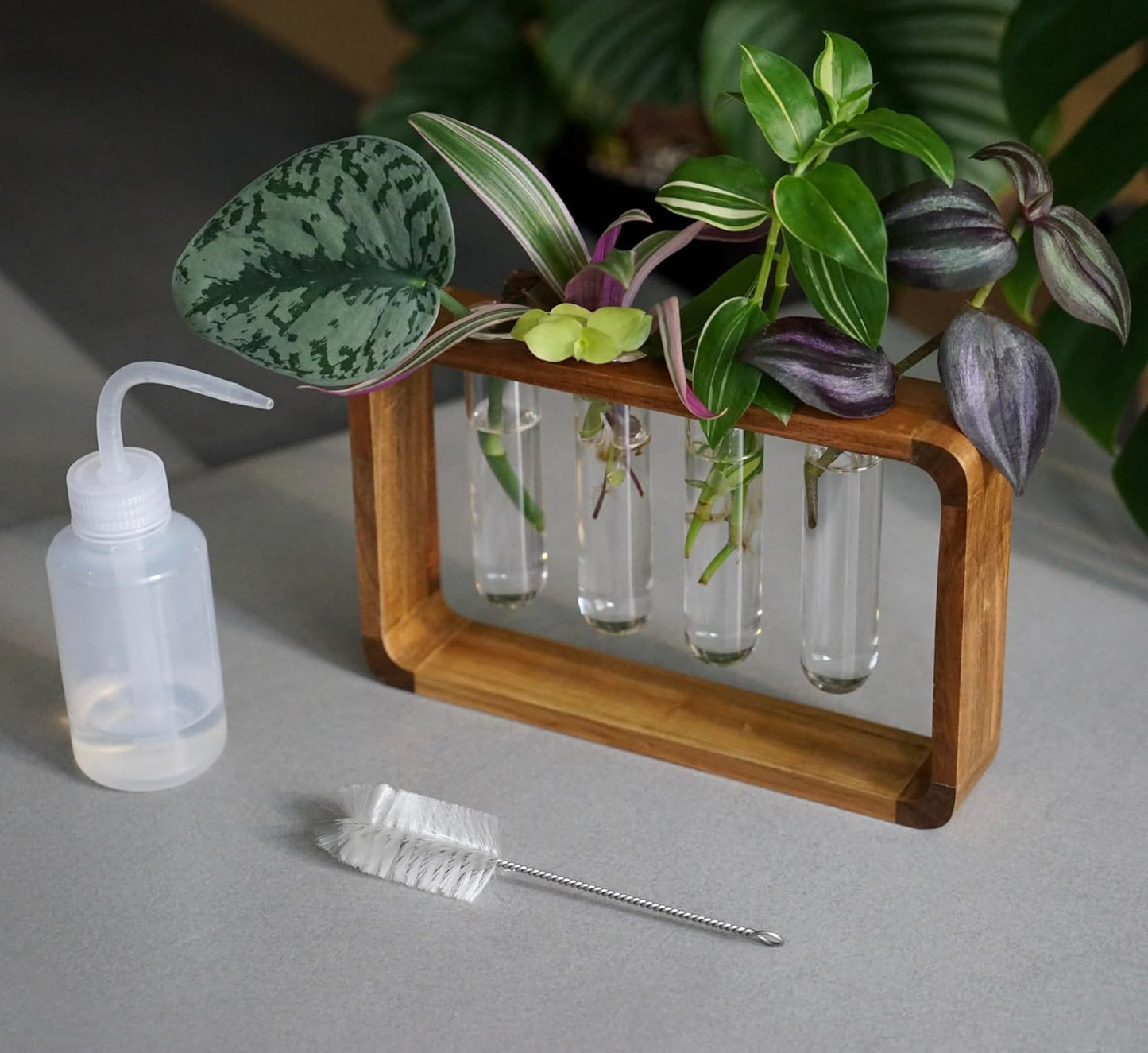 Source & Plot Plant Propagation Station - Acacia Wood Stand with 4 Glass Test Tubes, Tabletop Hydroponic Terrarium Planter Rack for Rooting & Houseplant Decor, Gift for Plant Lovers