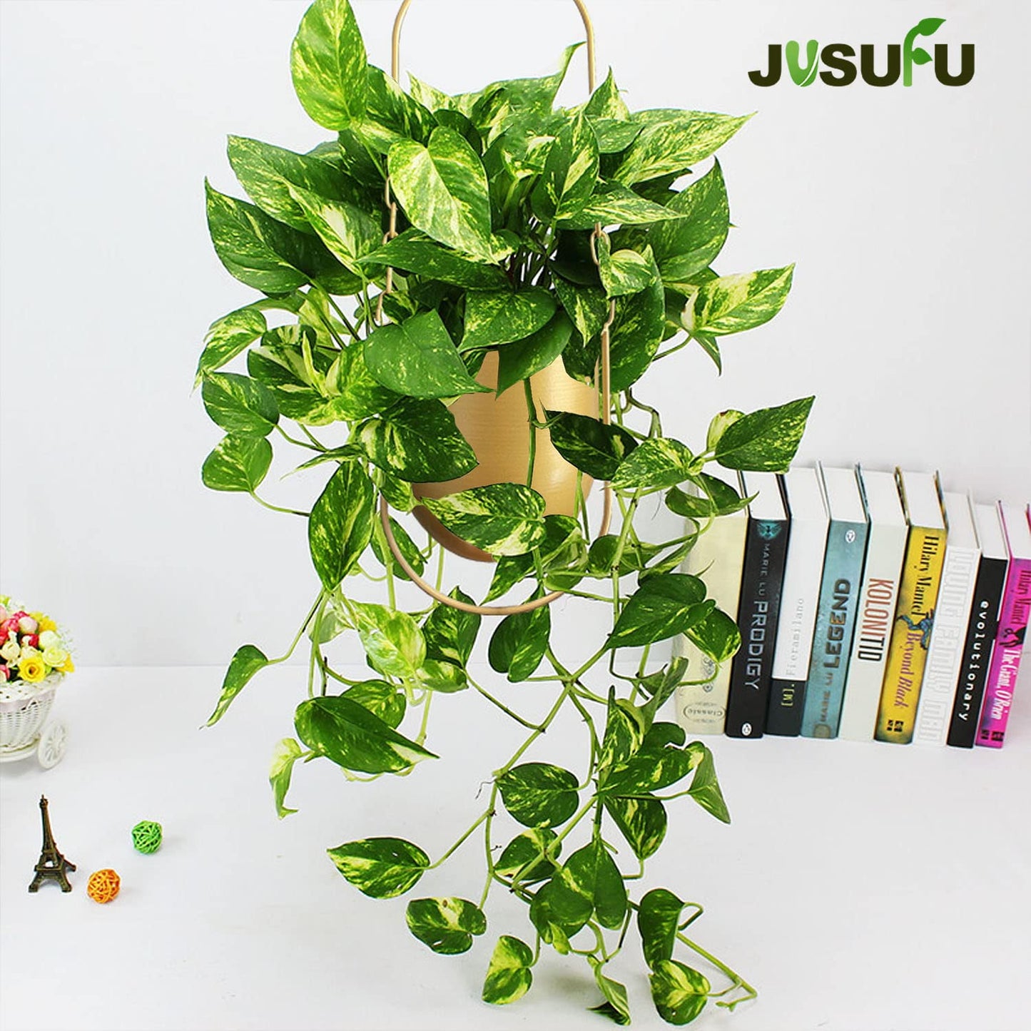 JUSUFU Metal Hanging Planters for Indoor & Outdoor, No Plant Included(Gold)