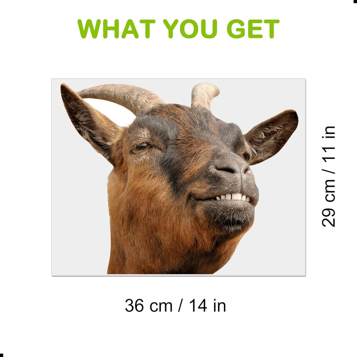 Smiling Goat Window Stickers Decor Funny Wall Stickers Peel and Stick Cute Goat Animals Wall Decals Removable Funny Goat Wall Window Decor for Farmhouse Kitchen Door Closet