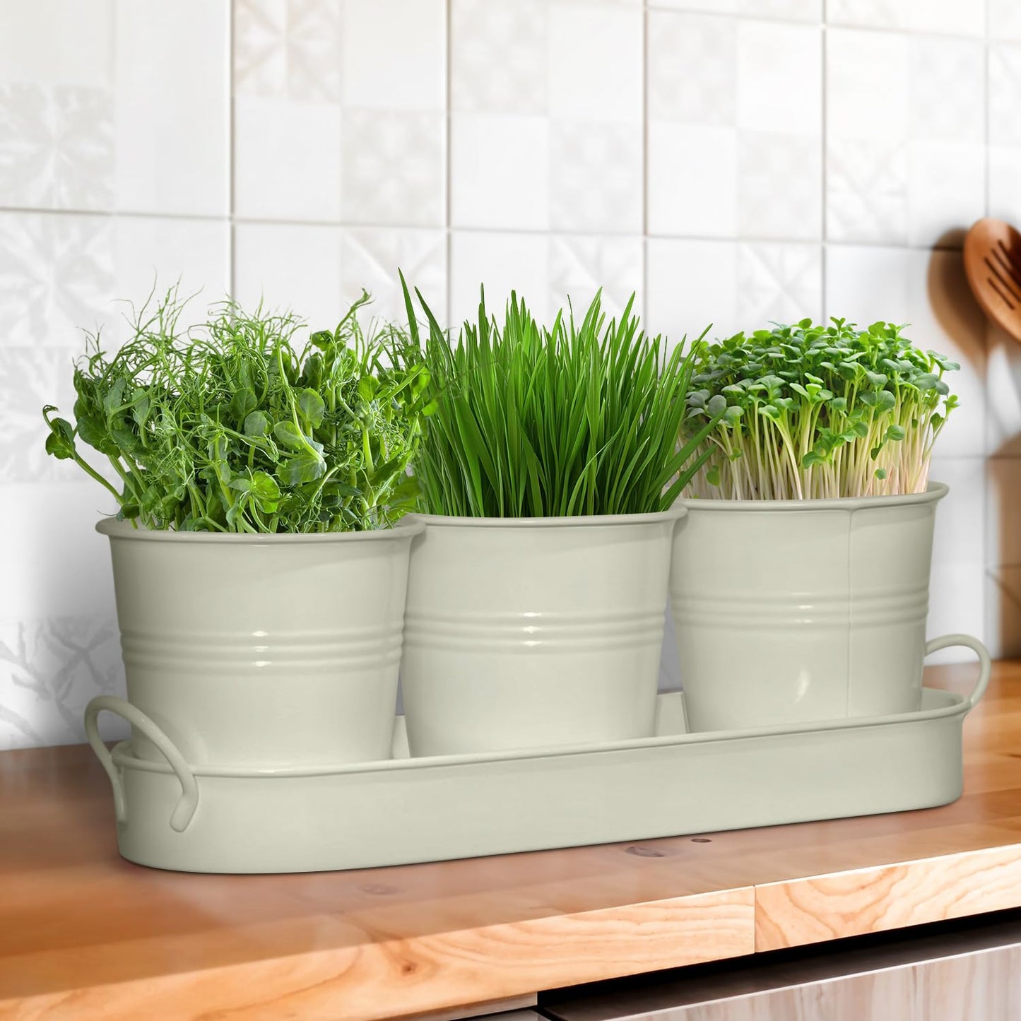 Plexon Herb Planter Indoor Garden Set of 3 with Tray, Metal Herb Pots for Indoor Plants, Round Kitchen Garden Kit Ideal for Windowsill Planter or Countertop, Off-White Powder Coated