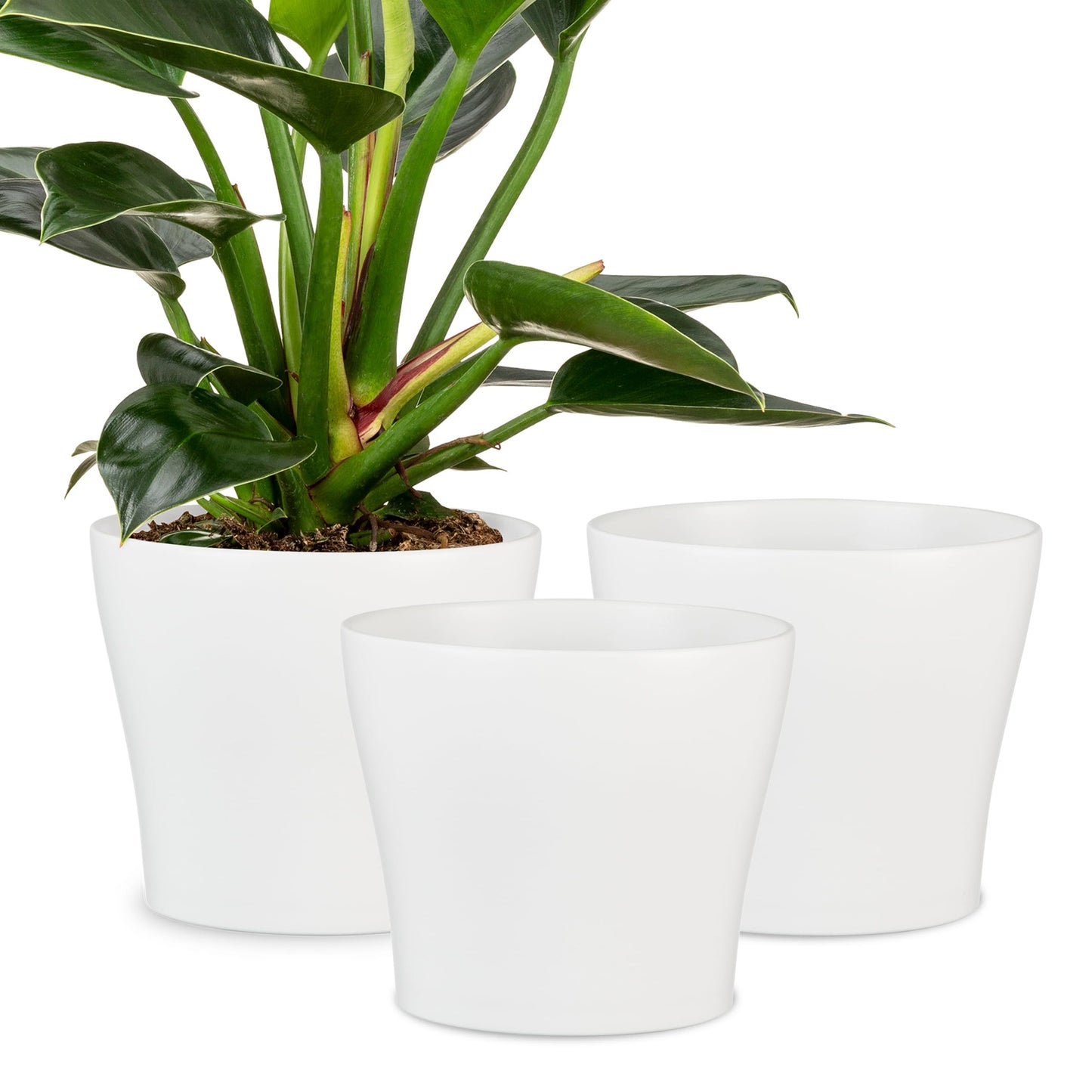 Scheurich Set of 3 Classic Panna Ceramic Plant Pots – 6" Decorative Pots for Indoor Plants - Waterproof&UV-Resistant Planters - Durable, Break-Resistant Design - Made in Germany - 0.4 gal