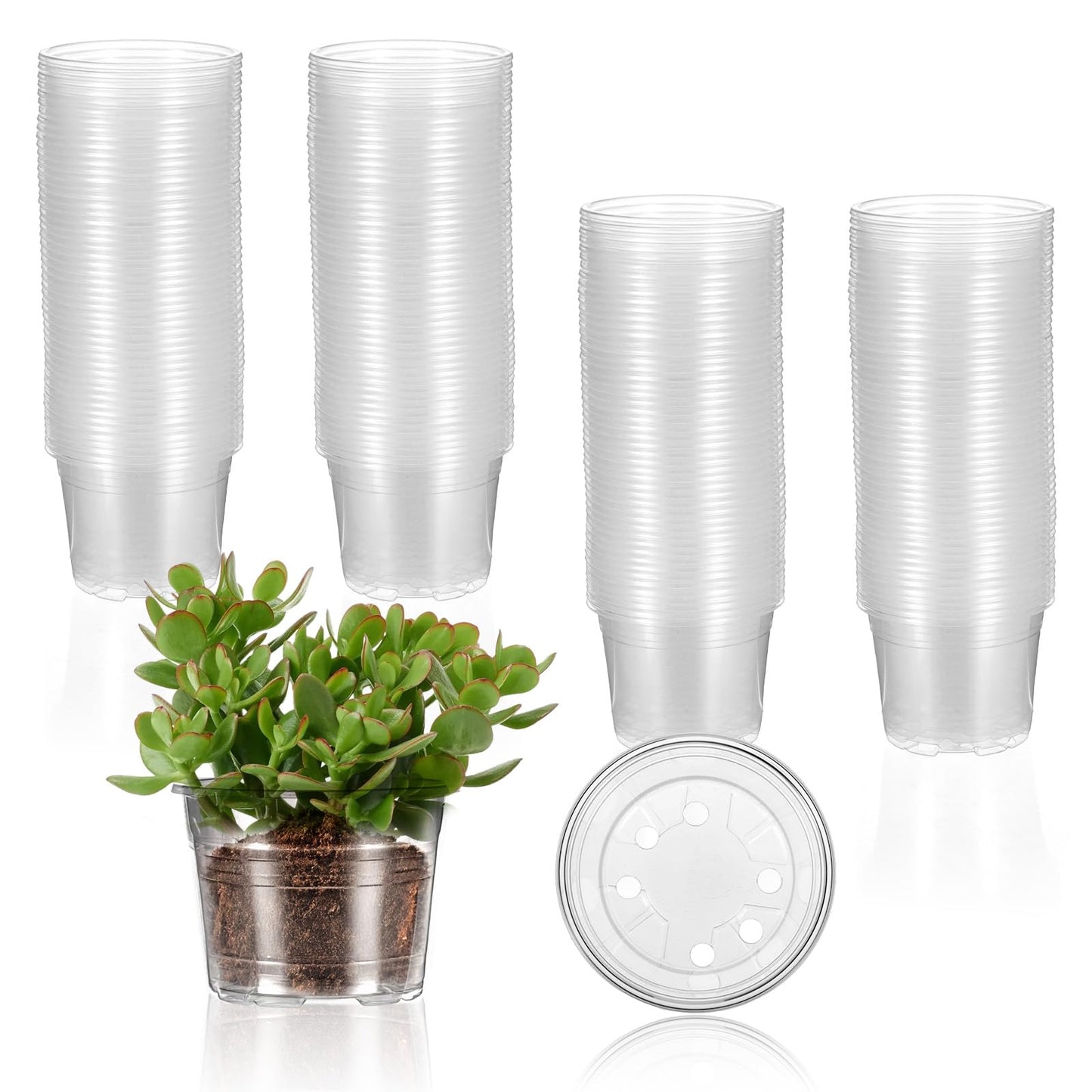 wutfuooo 200 Pcs Clear Mini Plastic Plant Pot Nursery Seedling Pots Seed Starter with Drainage Holes for Indoor Outdoor Garden Succulent Plants Cuttings Transplanting