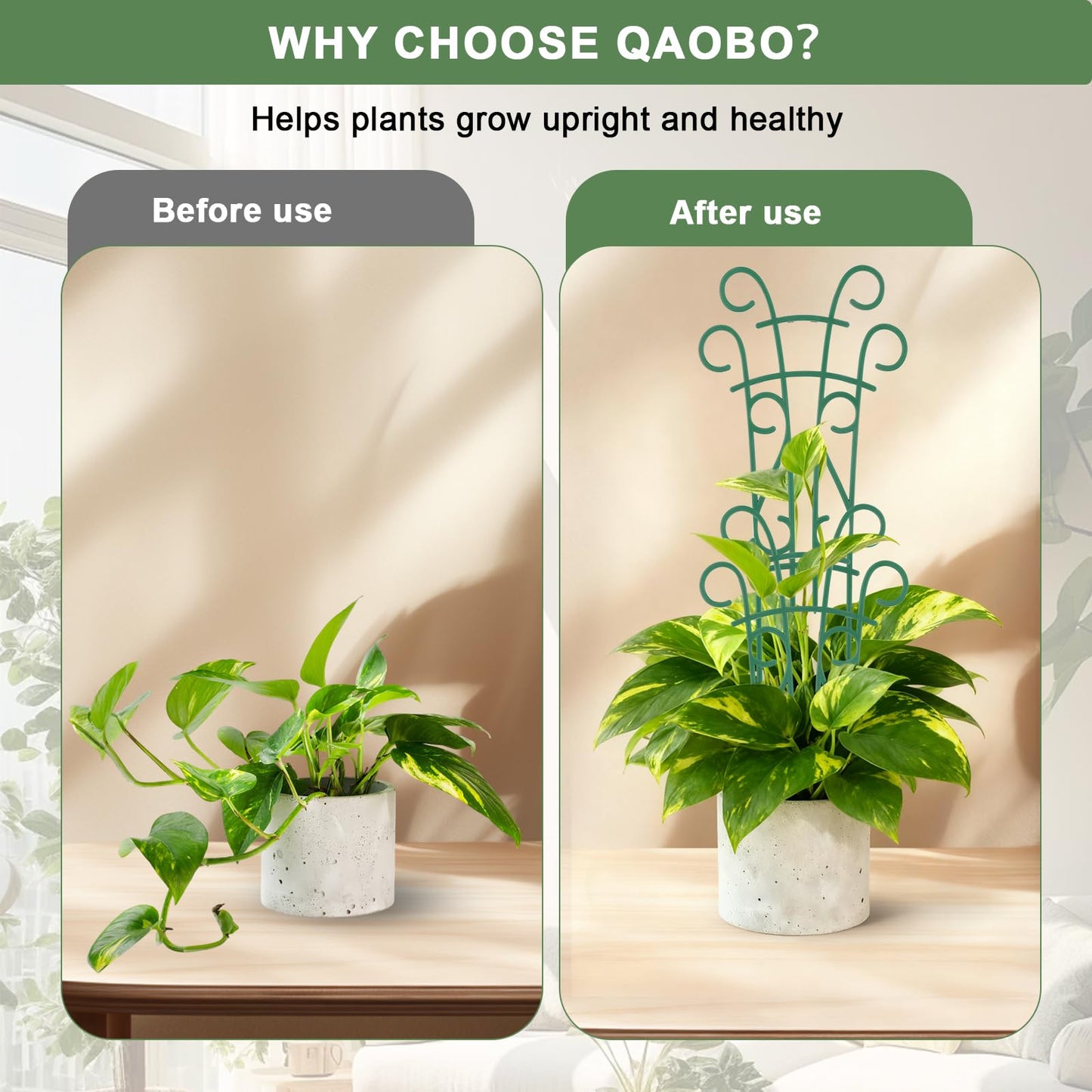 Qaobo 6 Pack Indoor Plant Trellis for Potted Plants, Stackable Garden Trellis for Climbing Plants Outdoor, Small Trellis for Houseplants Rose Hoya Pothos Plant Climber Support