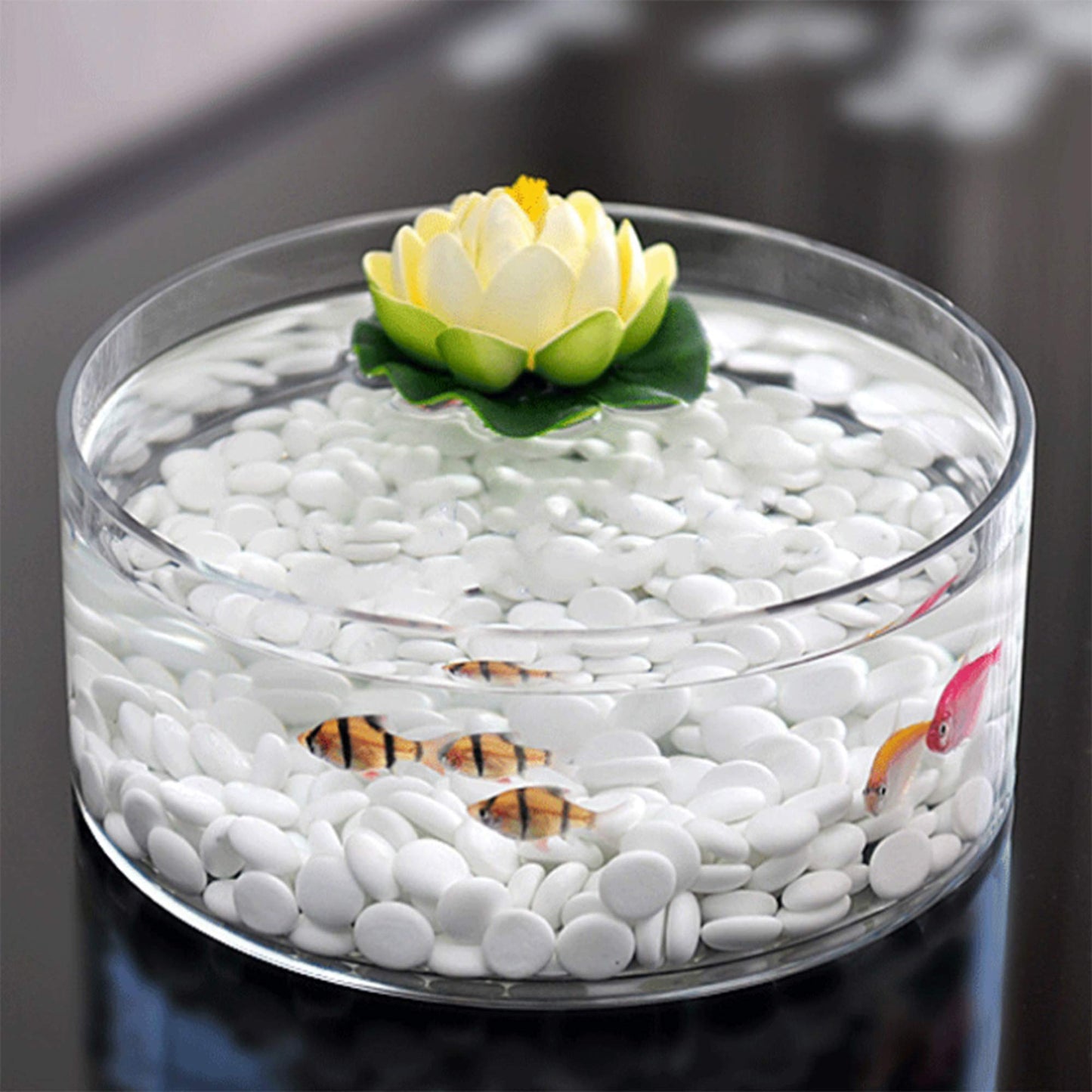 WGV Cylinder Vase, Open Width 8", Height 4", Clear Flat Pan Style Container, Planter Terrarium, Floral Centerpiece for Wedding Party Event, Home Office Decor, 1 Piece