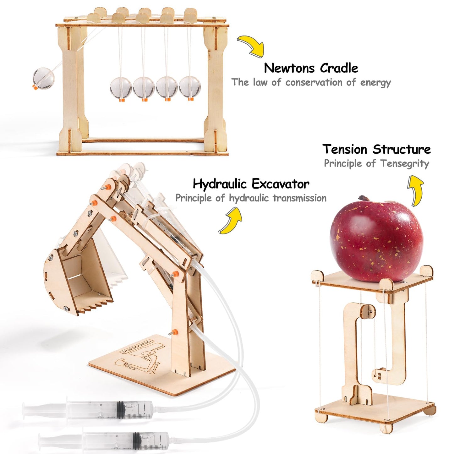 STEM Science Kits for Kids Ages 8-12 8-10, Wood Building Crafts Kits for Boys, STEM Toys for Ages 8-13 9 10 11 Year Old Gifts, Kids Science Engineering Experiment Projects, 3D Wooden Puzzles 10-12