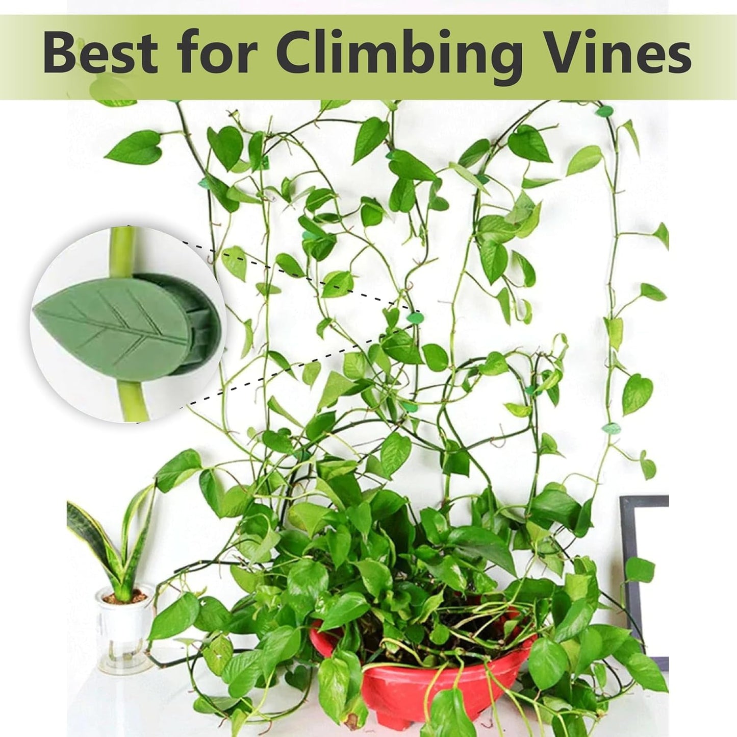 48 Inches Bendable Moss Pole Monstera Plant Support Stakes - Moss Poles for Climbing Plants, Plant Stakes for Indoor Plants - Coco Coir Pole Moss Stick for Monstera, Pothos.