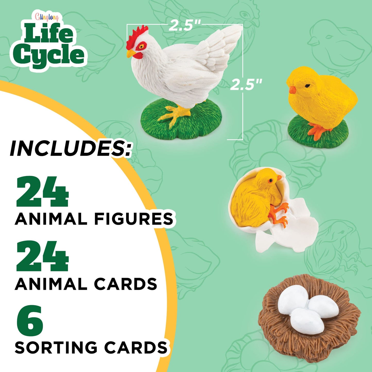Life Cycle Animal Kit - Montessori Science Toy with 24-Piece Matching Game, Butterfly, Frog, Chicken, Bee, Ladybug and Turtle STEM Educational Gift, Easter Basket fillers for Kids Ages 3-8