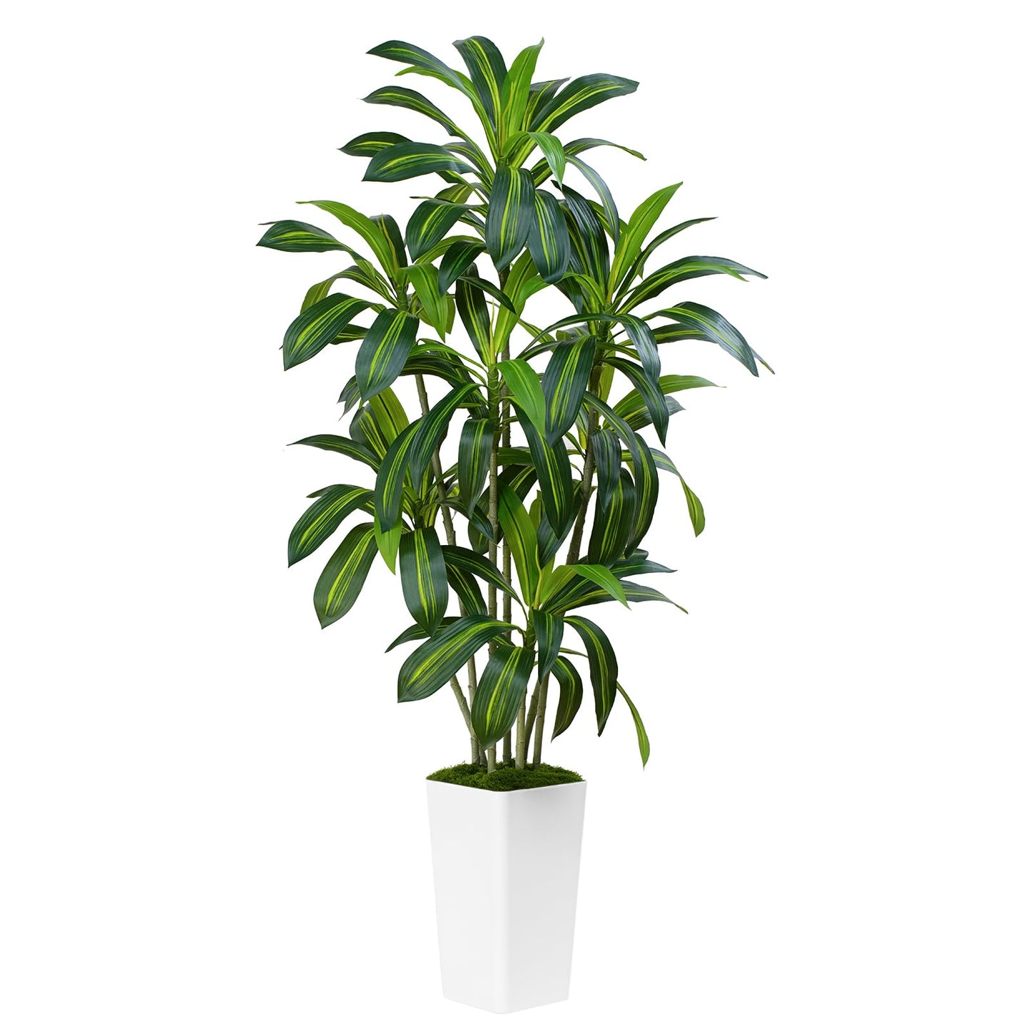 ZEEOZE Dracaena Plant Artificial Tree 6Ft Tall Fake Tropical Floor Plants Potted (Real Touch) Artificial Silk Tree Leaf Faux Trees White Tall Planter for Home Office Living Room Indoor Outdoor Decor