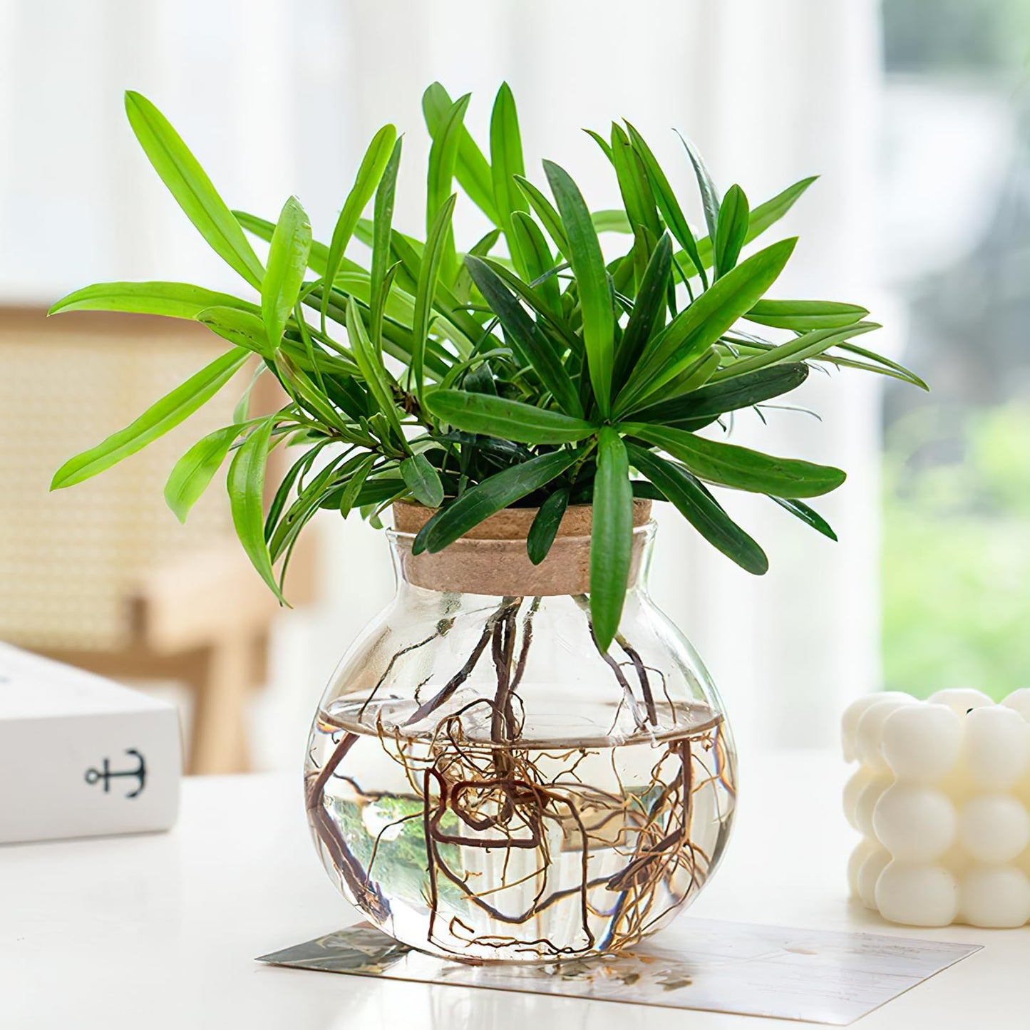 Yardwe Small Ball Glass Hydroponic Plant Vase, 4.33 Inch Round Propagation Vase Bottle for Plant Cuttings, Mini Terrarium Bottle for Desktop Home Decor