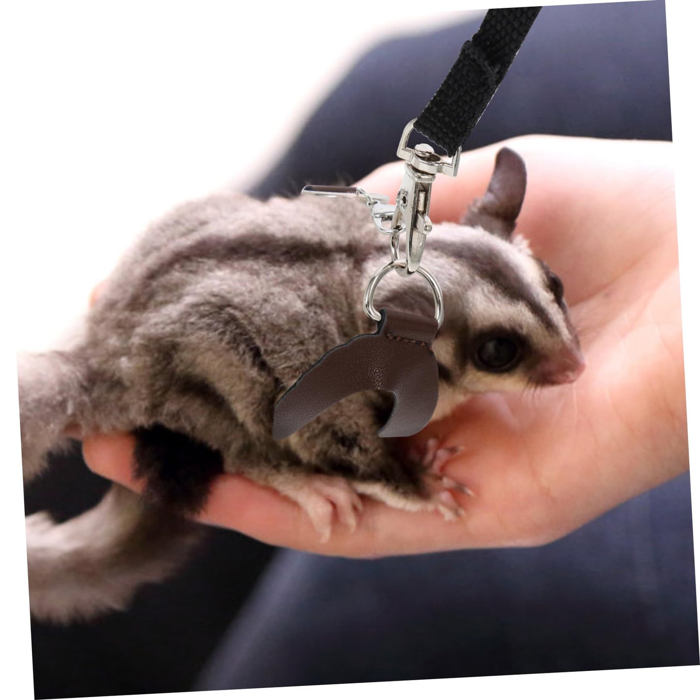 SHINEOFI 2 Sets Household Hamster Harness Leashes Lightweight Breathable Small Pet Rat Leash Kit Comfortable for Outdoor Walking and Daily Use