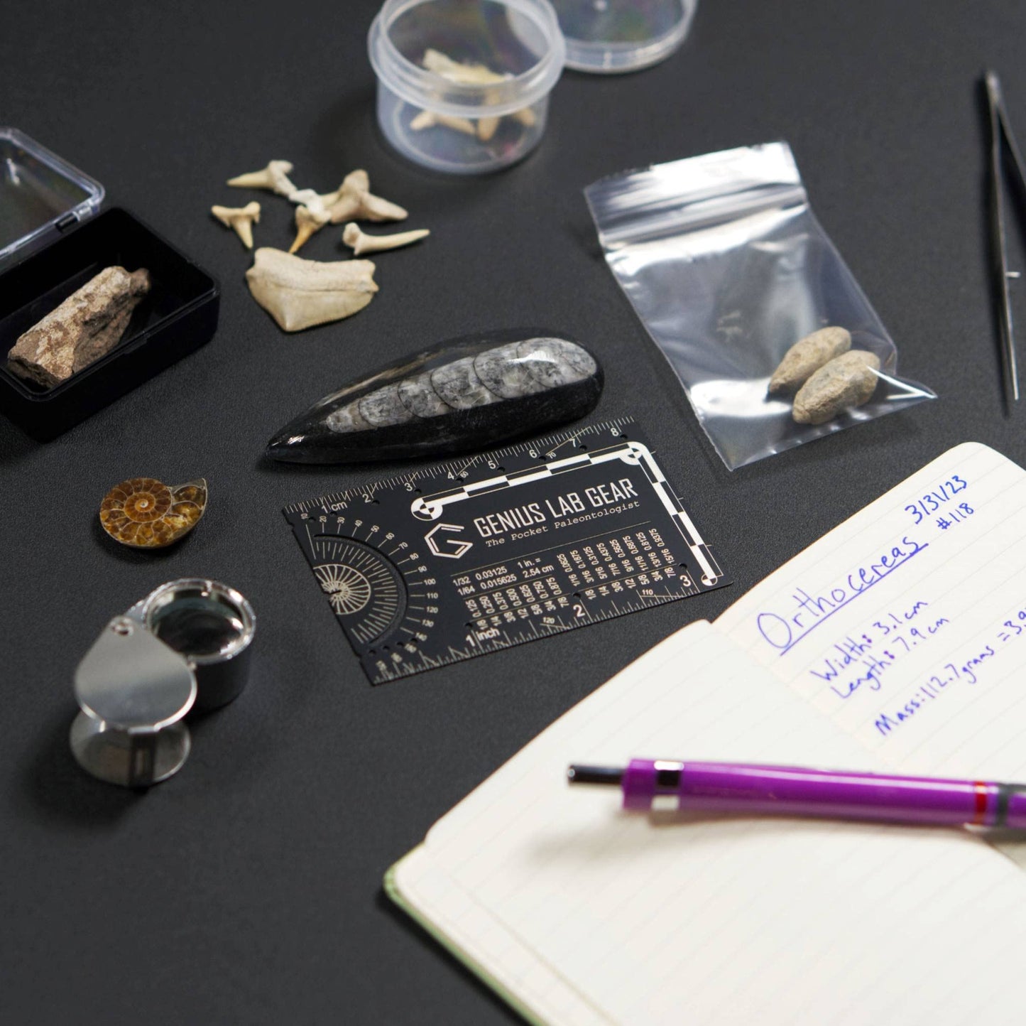 The Pocket Paleontologist - Small Metal Paleontology Ruler Scale, Mini Fossil Dig Multitool Gadget, Cool Tech Geek/Nerdy Archaeology Graduation Gift, Unique 3 Inch Metric Techie Tool - Genius Lab Gear