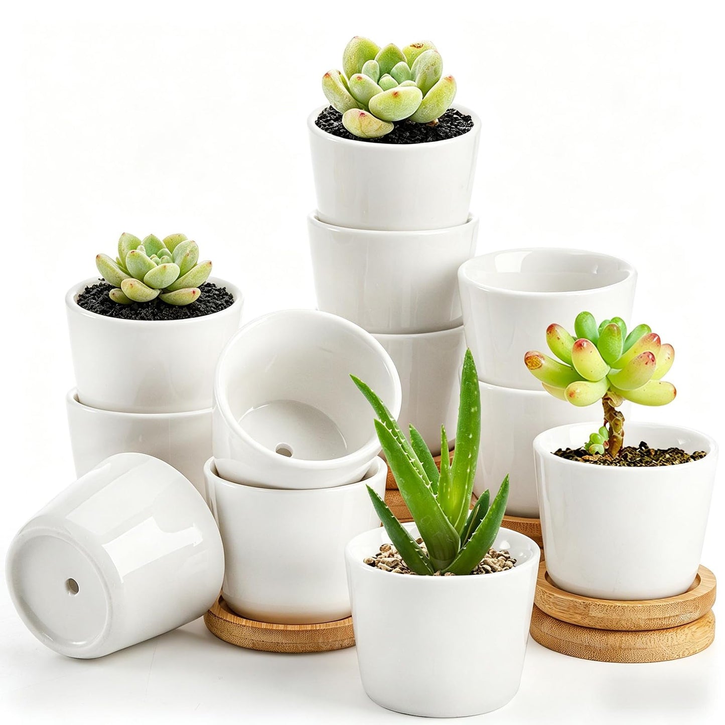Tosnail 12 Pack Small Succulent Pots with 12 Bamboo Trays, 2.5 Inch Round White Ceramic Mini Plant Pots, Tiny Succulent Planters, Cactus, Flower, Air Plant Containers, Modern Home and Office Decor