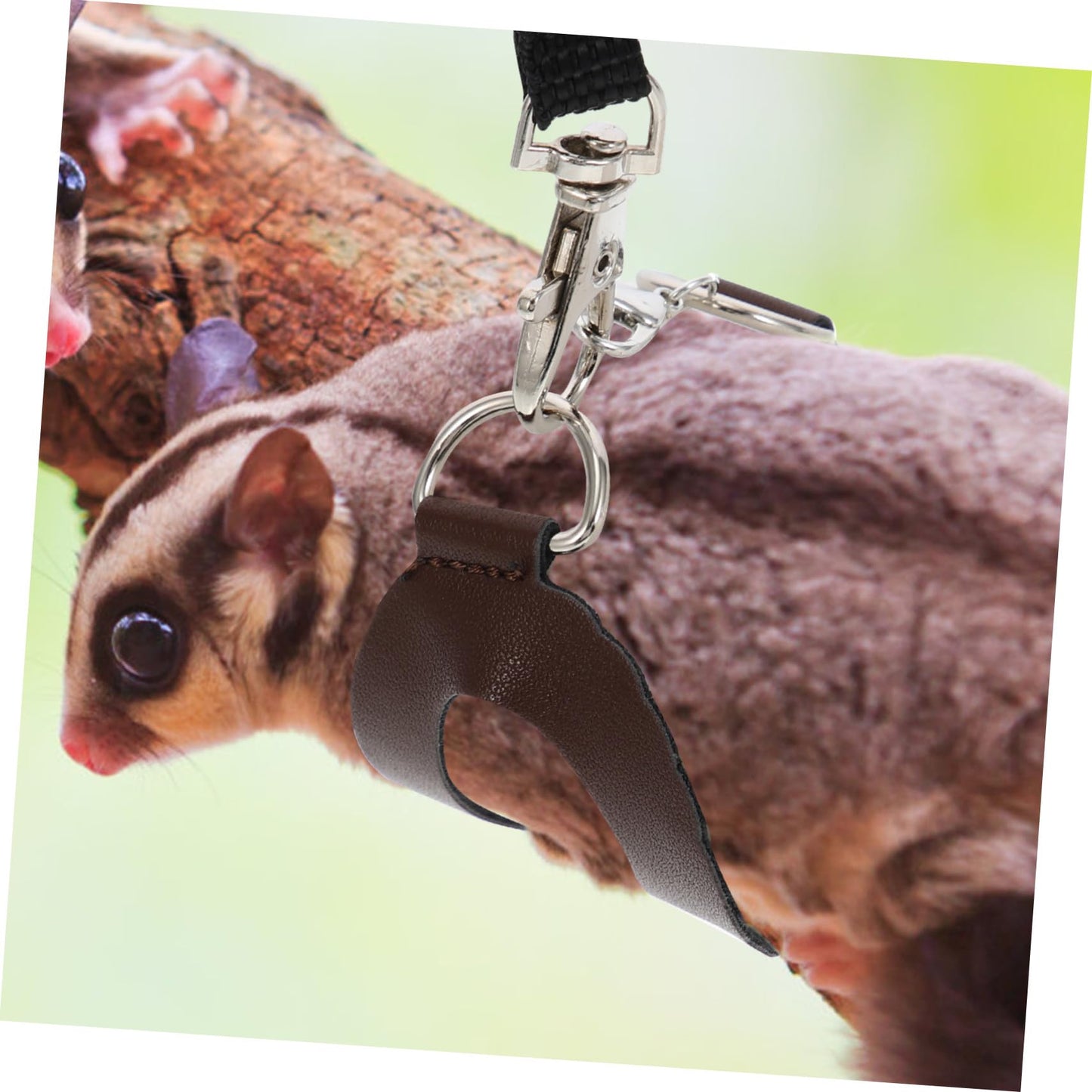 SHINEOFI 2 Sets Household Hamster Harness Leashes Lightweight Breathable Small Pet Rat Leash Kit Comfortable for Outdoor Walking and Daily Use