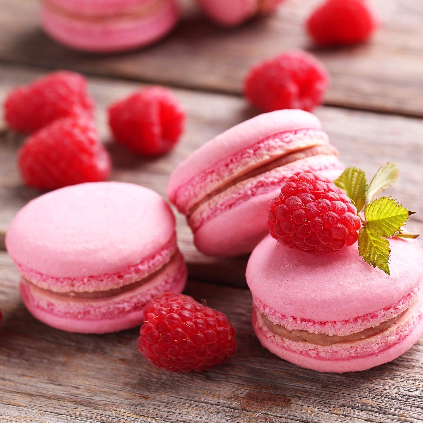 Kasmoire 9 Pcs Round Piping Tip,Macaron Piping Tip,Cake and Cookie Decorating Plain Tube Set