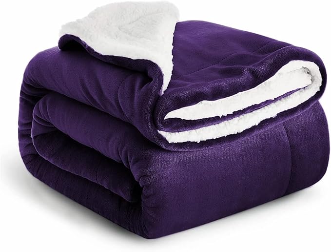 IR Imperial Rooms Sherpa Fleece Throw Blanket Twin Size for Couch - Thick and Warm Fluffy Purple Blankets for Winter, Soft and Fuzzy Twin Blanket for Bed, 60x80 Inches