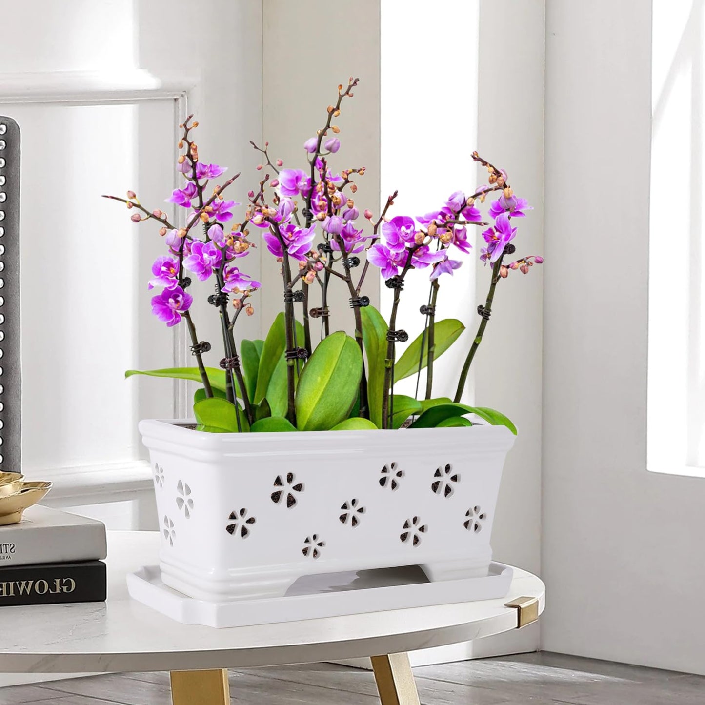Orchid Pot with Holes and Saucer - 12*6.3*5.3Inch Ceramic Large Pot Basin for Refilling - Indoor and Outdoor Use - Air Circulation