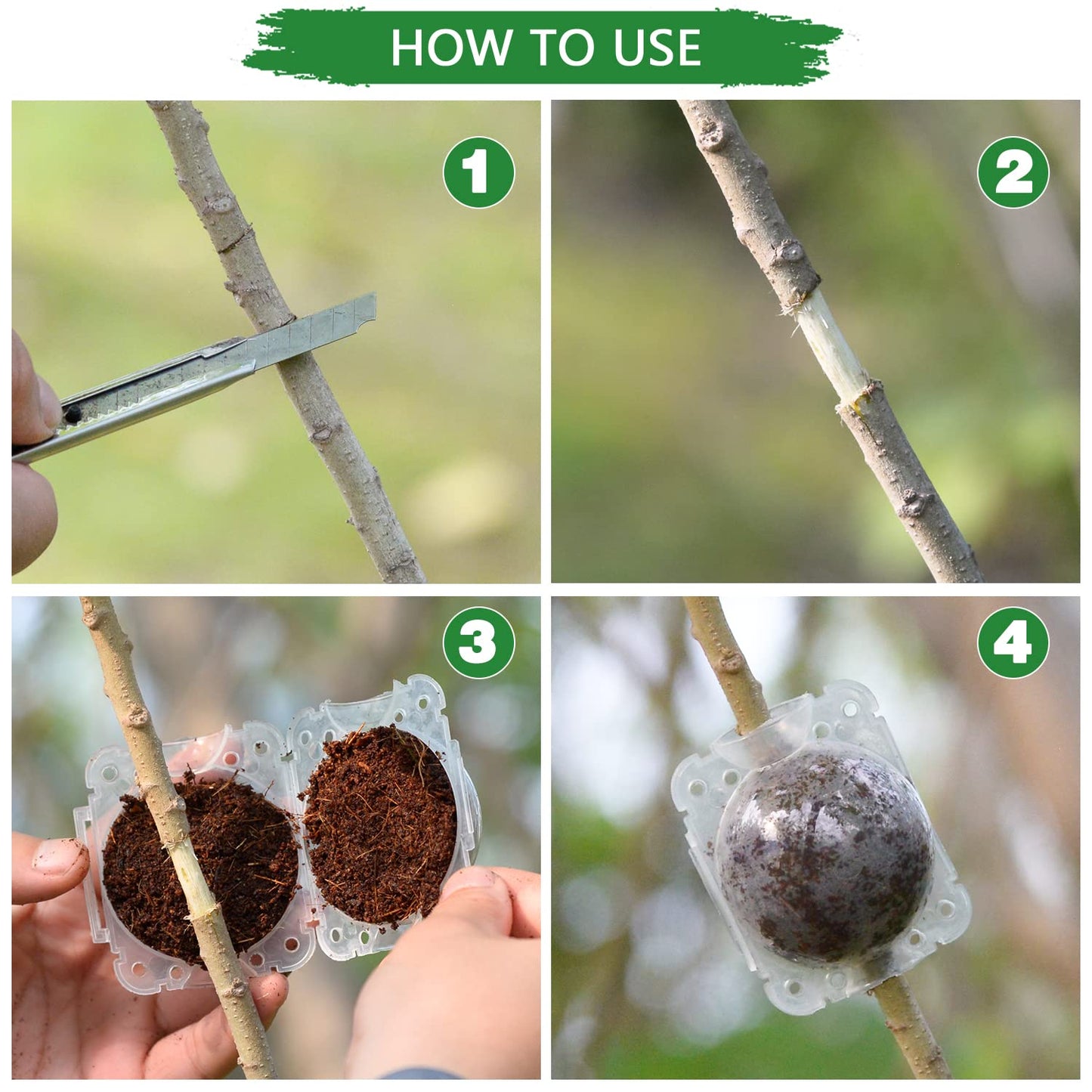 Supking 8 Pcs Air Layering Pods Plant Rooting Grow Propagation Ball Small Transparent Assisted Cutting Rooting Grafting Device Root Box for Plants
