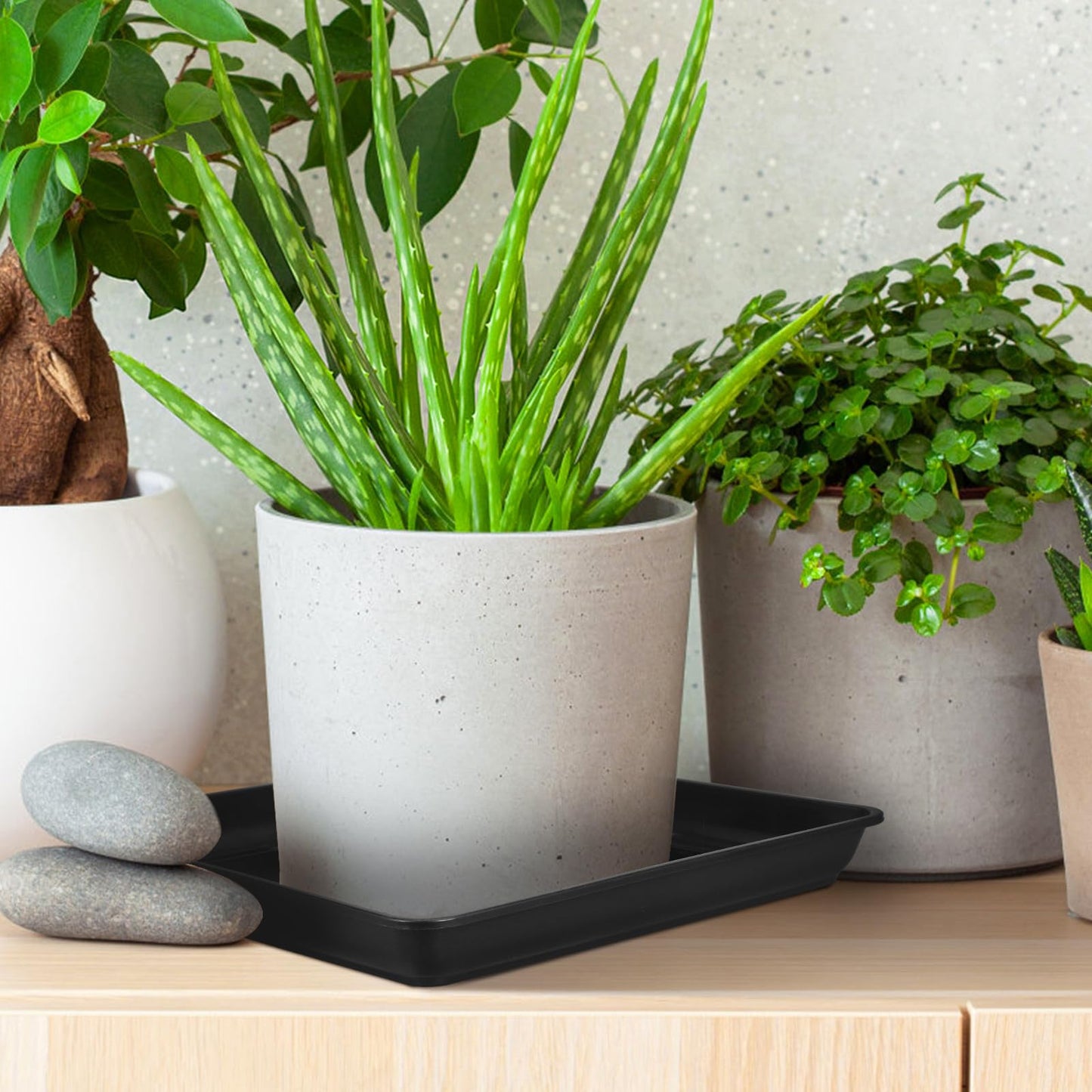 DOITOOL 16 Inch Square Plant Saucer Tray for Flower Pots Plastic Planter Drip Tray Holder Indoor and Outdoor Pot Drainage Saucer 2 Pack