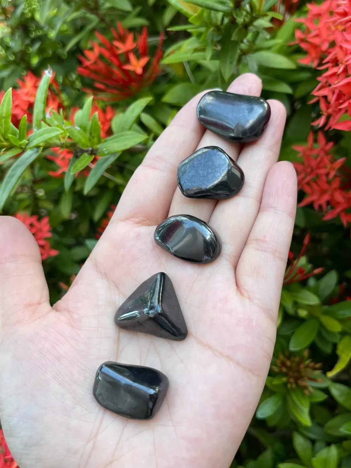 GAF TREASURES 5 Pcs Shungite Tumbled Stones, Polished Natural Shungite Gemstone, Shungite Healing Crystals (Shungite)
