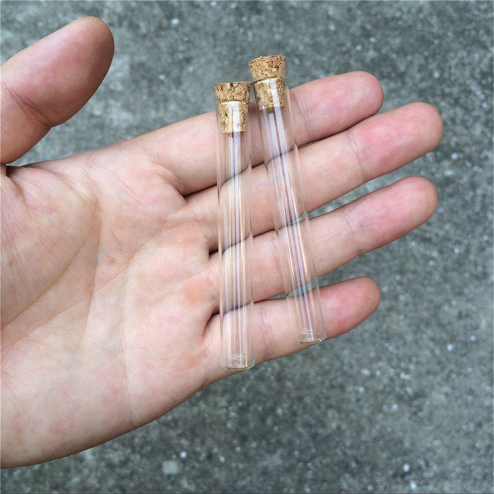 TAI DIAN Mini 4ml Small Glass Vials Jars Test Tube With Cork Stopper Empty Glass Transparent Mason Jars Bottles 100pcs(10x75mm-shiguan)