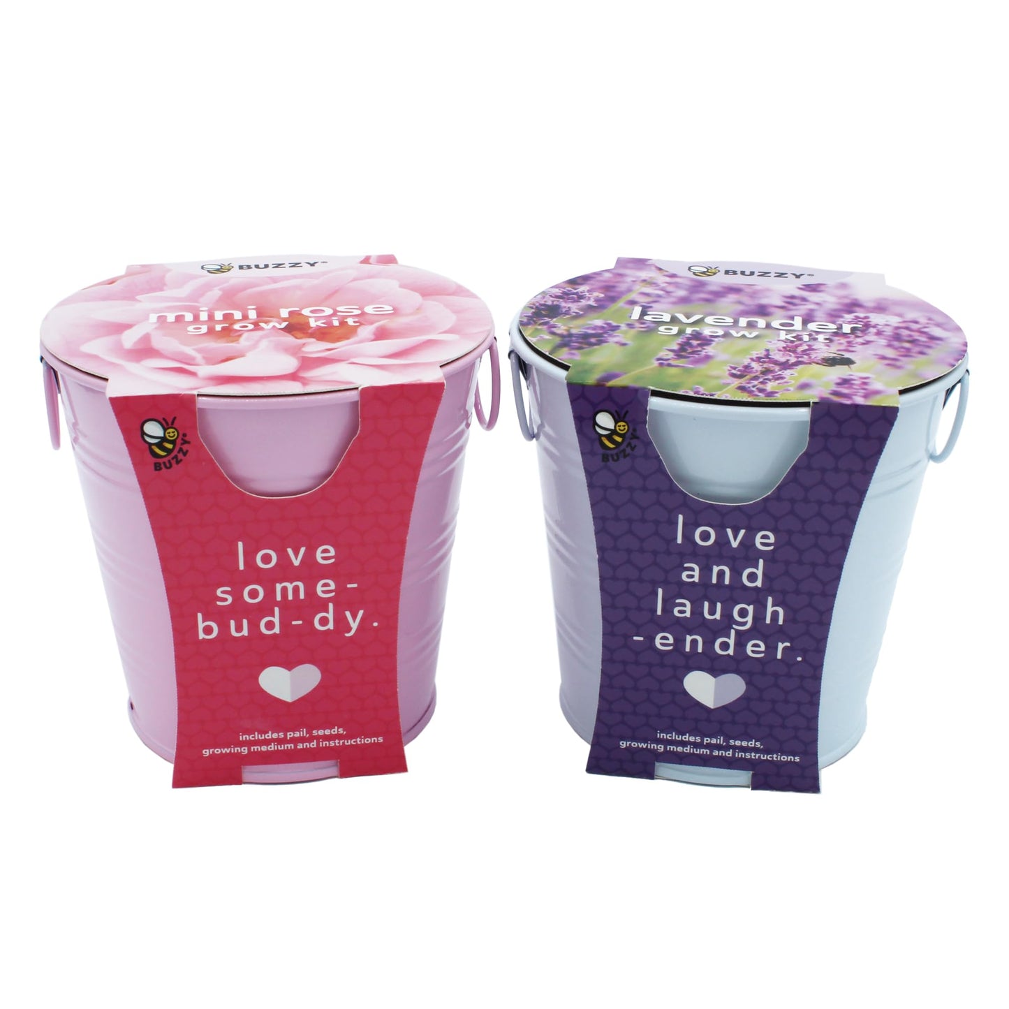 BUZZY Seeds Love Pails Grow Kit, 2-Pack – Valentine’s Day Mini Garden Gift with Colorful Pails, Mini Rose & Lavender Seeds, Growing Medium Included, Indoor Starter Seed Kit