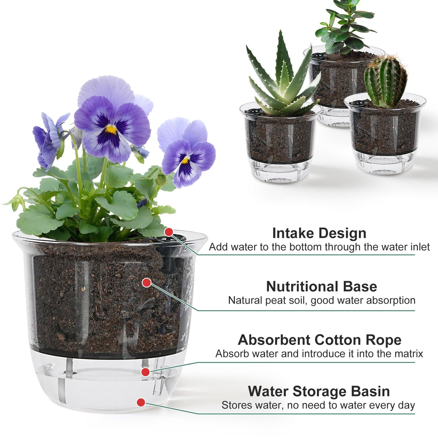IWNTWY Self Watering Pots, 3 Pack 4 Inch Clear Plant Pot Self Watering Planter Flowers Pot with Deep Reservoir for Indoor Plants (3 Small)