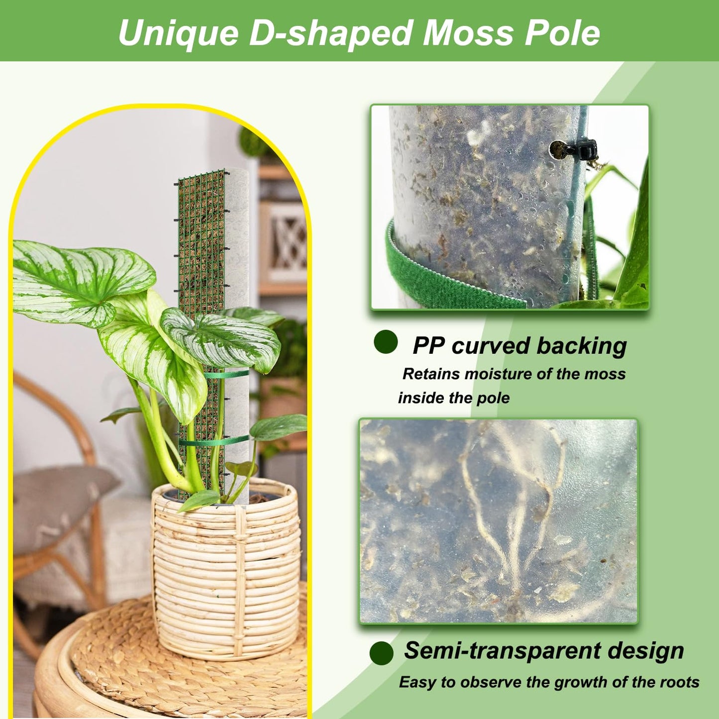 60"/40"/24" Metal Moss Pole, D Shape Sphagnum Moss Pole, Moss Poles for Climbing Plants, Monstera, Indoor Climbing Plants (6Pcs 24")