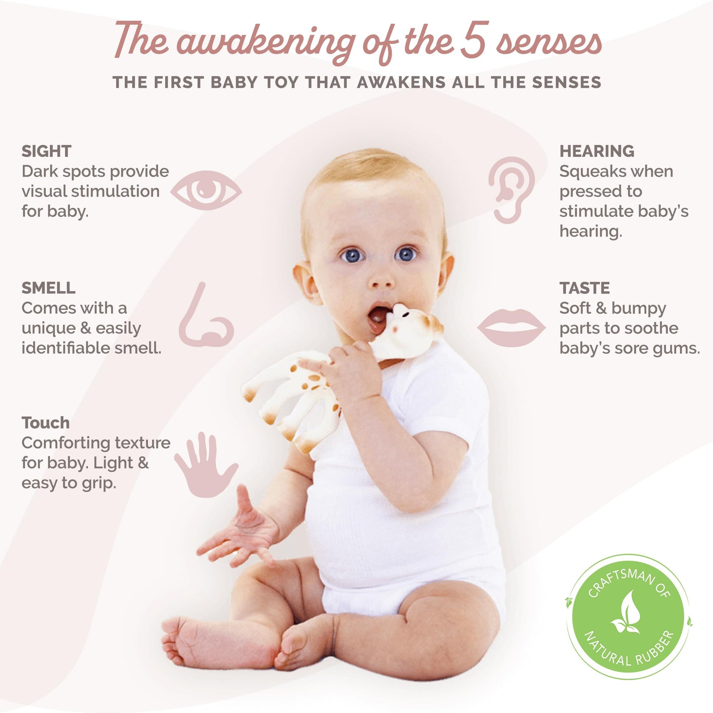 Sophie la girafe, Fresh Touch | Classic Toy Since 1961 | Natural Rubber | Designed for Teething Babies | Awaken All 5 Senses | Easy to Clean