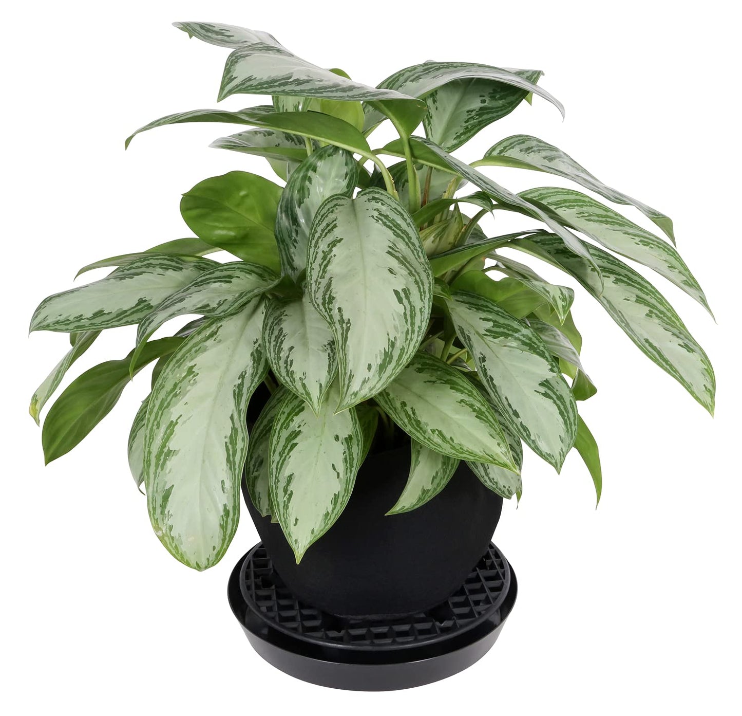 Gro Pro NX Level Pot Elevator - 13 in (50/Cs) (725675)