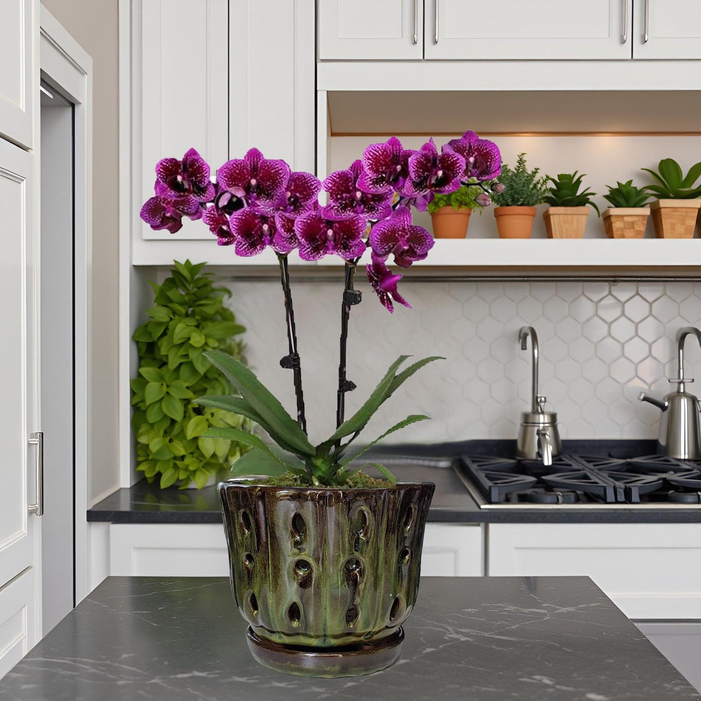 Grdthzey Ceramic Orchid Pots with Attached Saucer and Drainage Hole 6'' Orchid Planter (mossgreen)