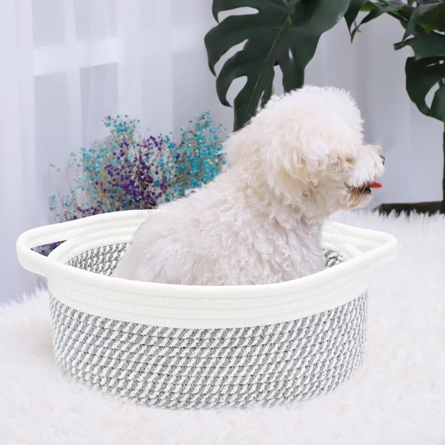 ABenkle Small Basket, 12"x 8" x 5" Cute Small Woven Basket, Rope Room Shelf Storage Basket, Cat Dog Toys Basket Chest Box, Decorative Empty Gift Basket with Handles
