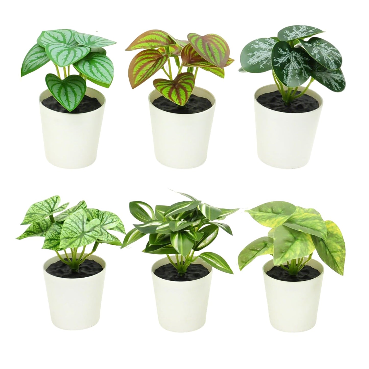 Freyalife 6 Pack Fake Plants for Room Decor,Mini Artificial Potted Plants for Home Office Living Kitchen Classroom Table Shelf Desk Farmhouse Bathroom Indoor Decor
