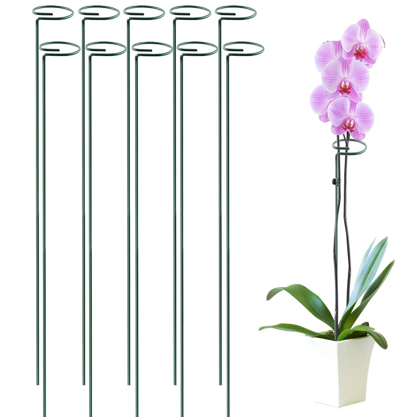 HiGift 10 Pack 36 Inch Plant Support Stake for Tall Plant, Garden Single Stem Flower Support Stake Indoor Plant Cage Support Ring for Peony, Orchid, Lily, Rose