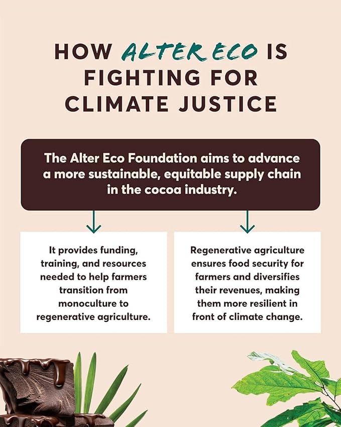 Alter Eco |Classic Dark Chocolate Truffles | Pure Dark Cocoa, Fair Trade, Organic, Non-GMO, Gluten Free | 80 Truffles