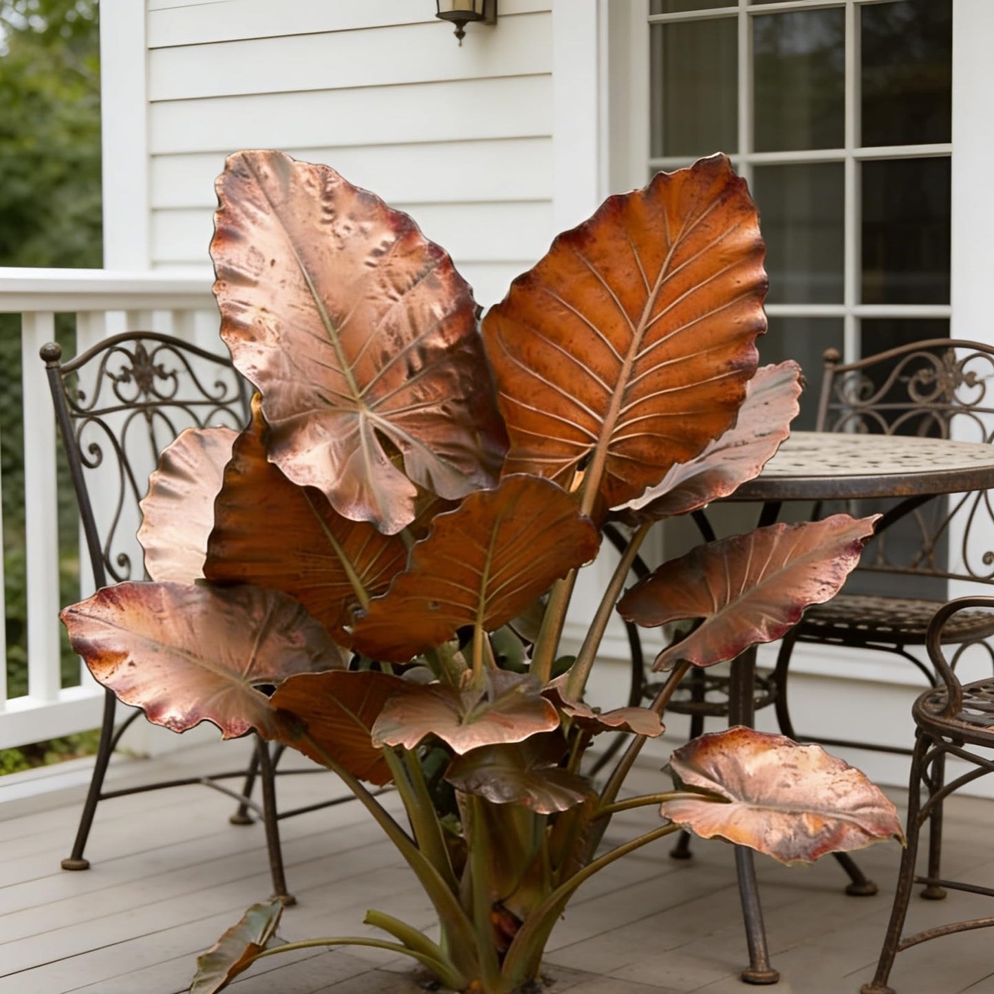 Hardy Elephant Ear Plant Bulbs | Tropical Colocasia for Home Garden & Outdoor Patio Landscaping (4)