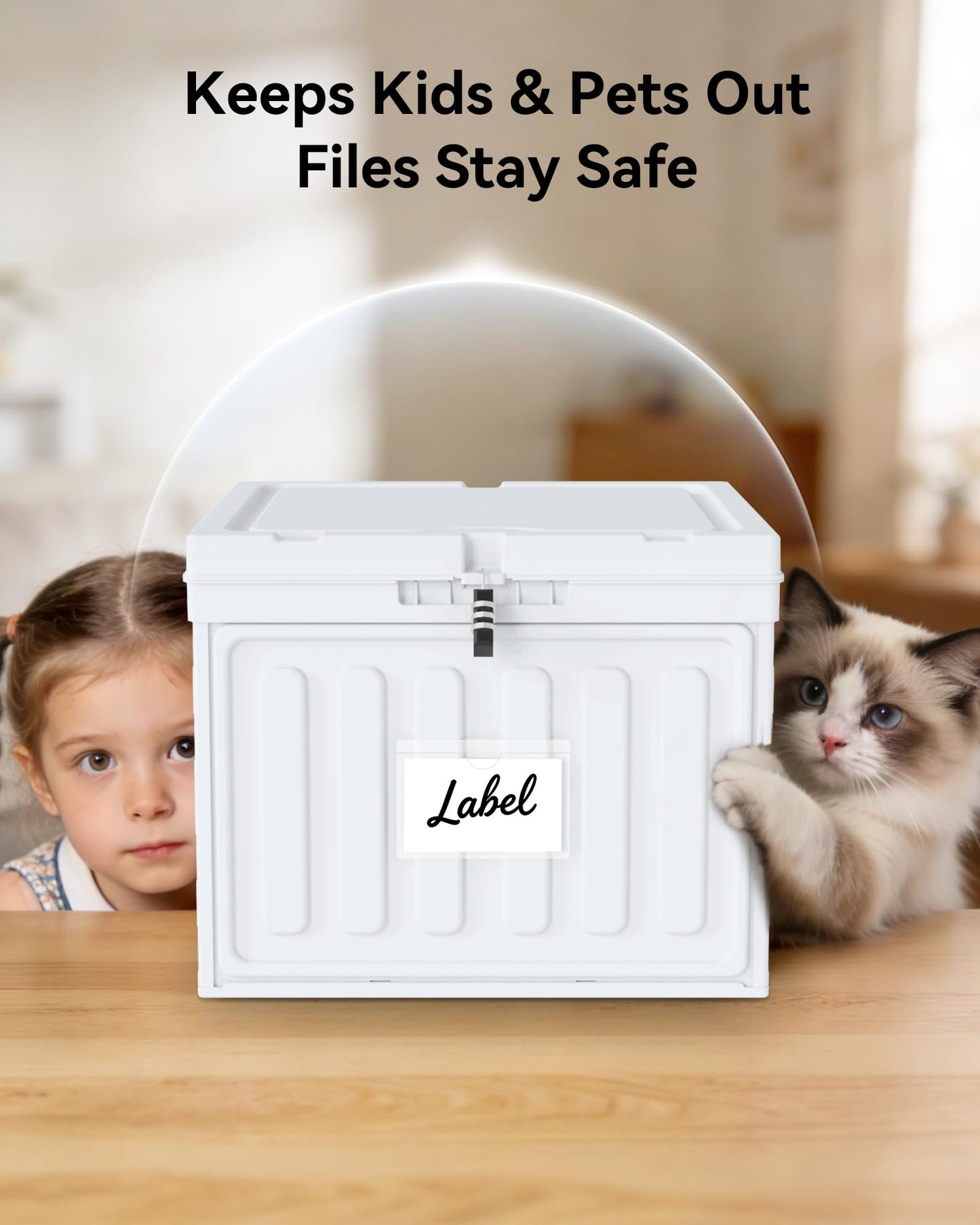 Oterri Plastic File Box with Lid for Letter Size Hanging File Folders, Hanging File Folder Box for Home, Office, School, File Cabinet, Assembly File Organizer, White，Large-2 Pack Without Folders