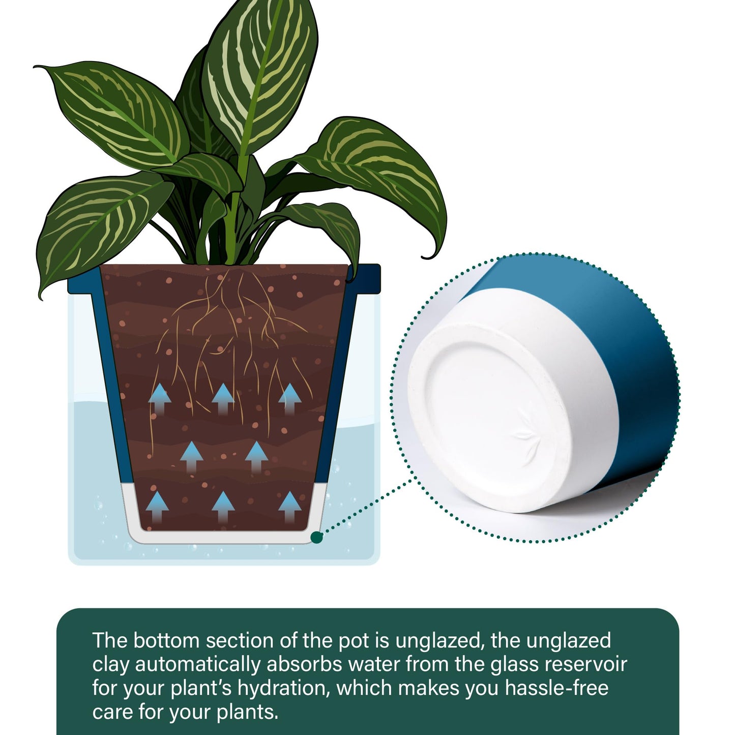 D'vine Dev 10 Inch Design Self Watering Planter for Indoor Plants, Blue Terracotta Pot with Cylinder Glass Cup, 37-X-D-4