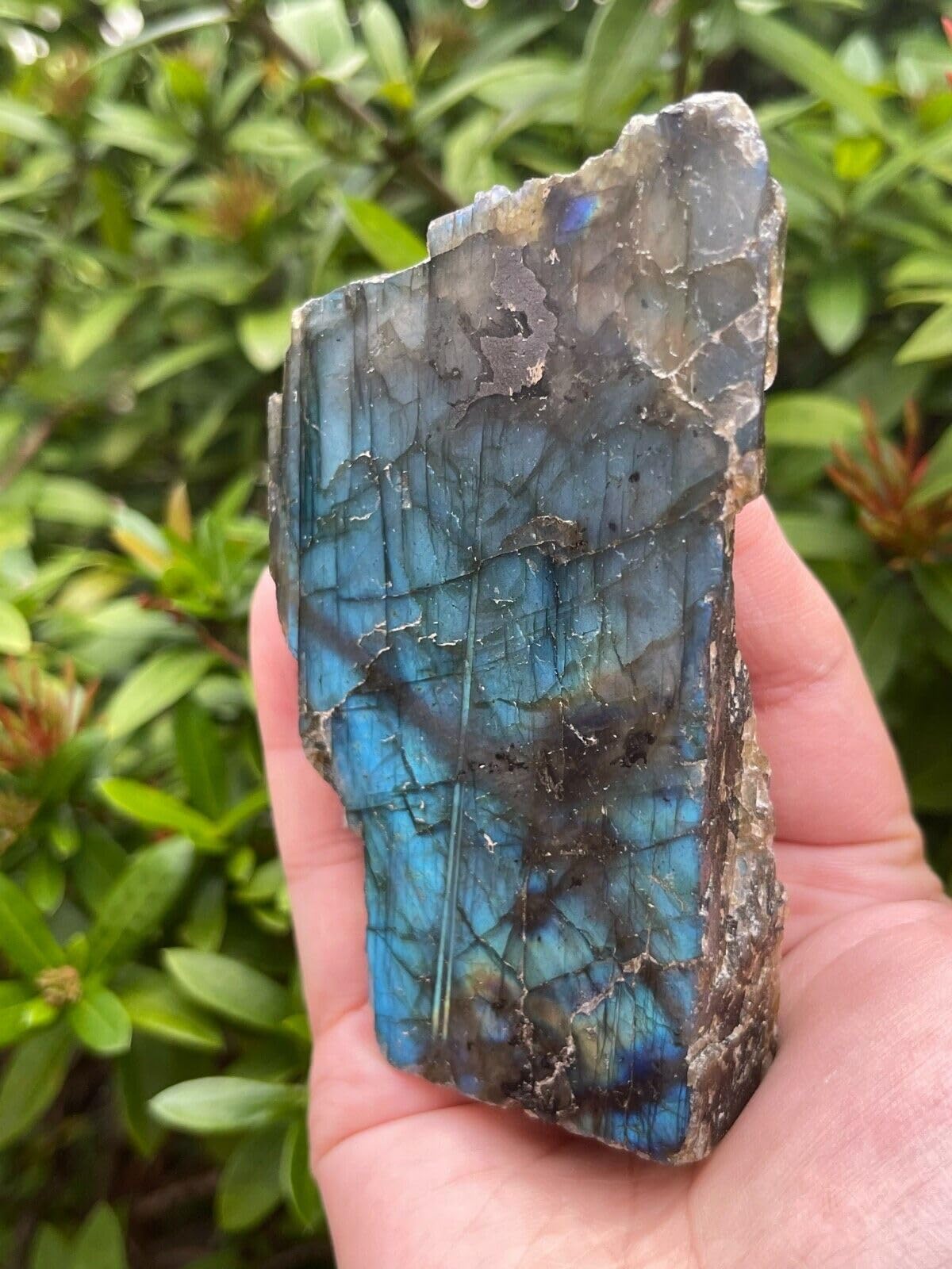 GAF TREASURES XL Raw Labradorite Slab, 3-4" Natural Rough Labradorite Slab, Labradorite Slab Healing Rough Crystal (Labradorite Slab, 0.5-1 lb)
