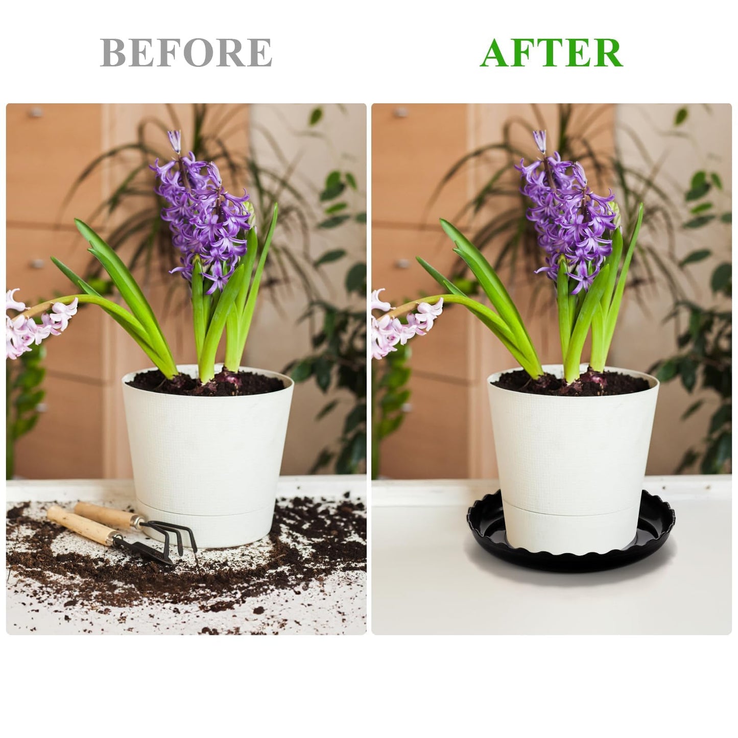 OFiSEXPT 13Pcs Plant Saucer Trays, 6/8/10 Inch Round, Plastic Drip Trays for Indoor/Outdoor Plants