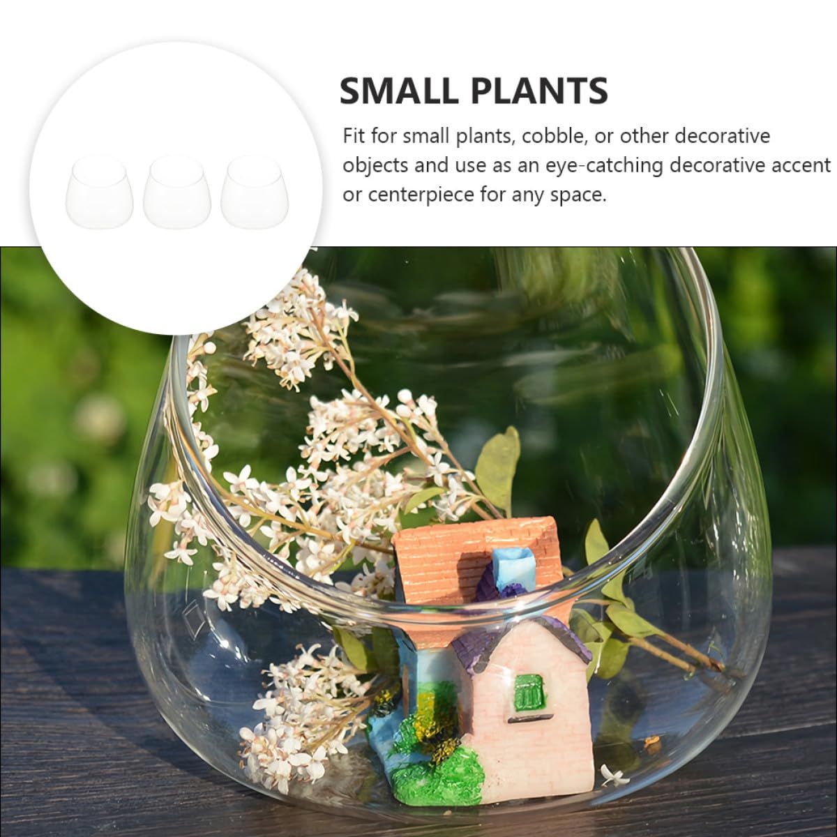 INOOMP 3pcs Slant Cut Glass Bottle Ecological Terrarium Vases Tabletop Micro Landscape Succulent Plant Holder for Home Décor