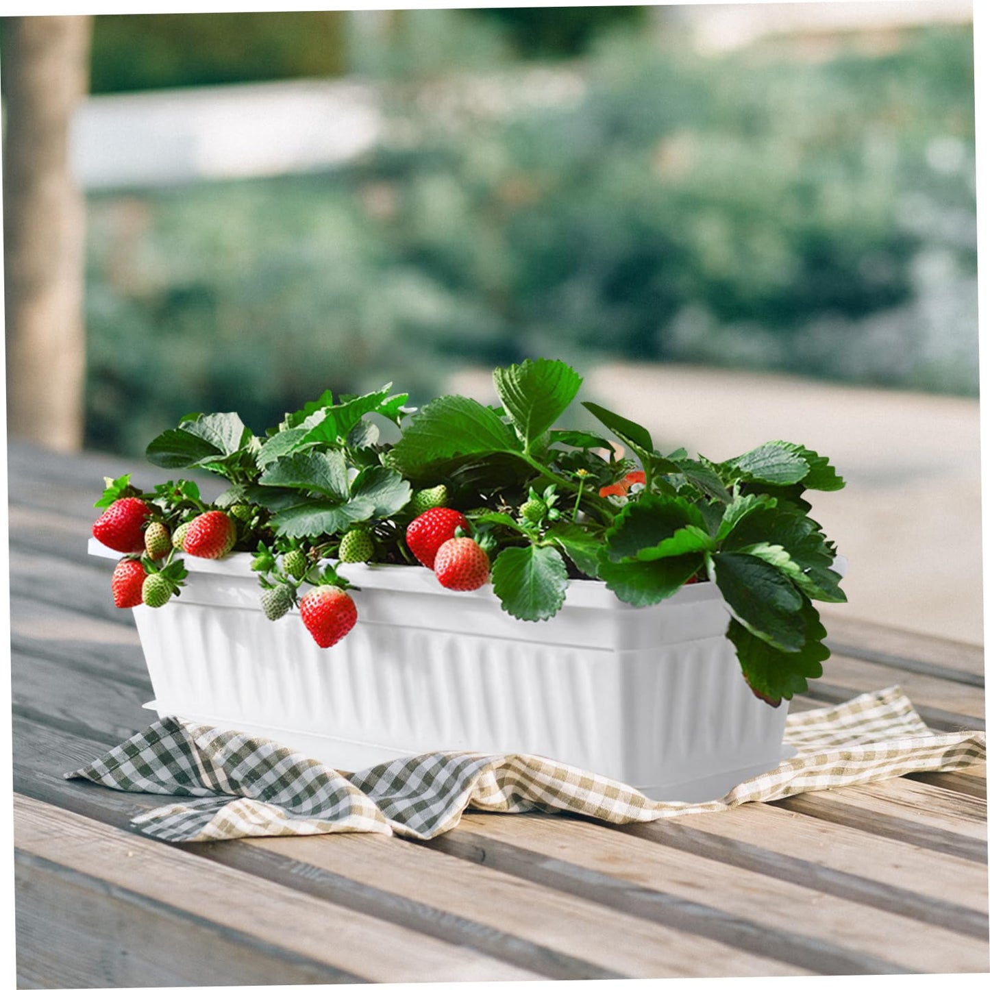 DOITOOL 2pcs Rectangular Plastic with Saucers Versatile Pots for Indoor and Outdoor Use Ideal for Vegetables and Flowers for Windowsills Patios and Gardens