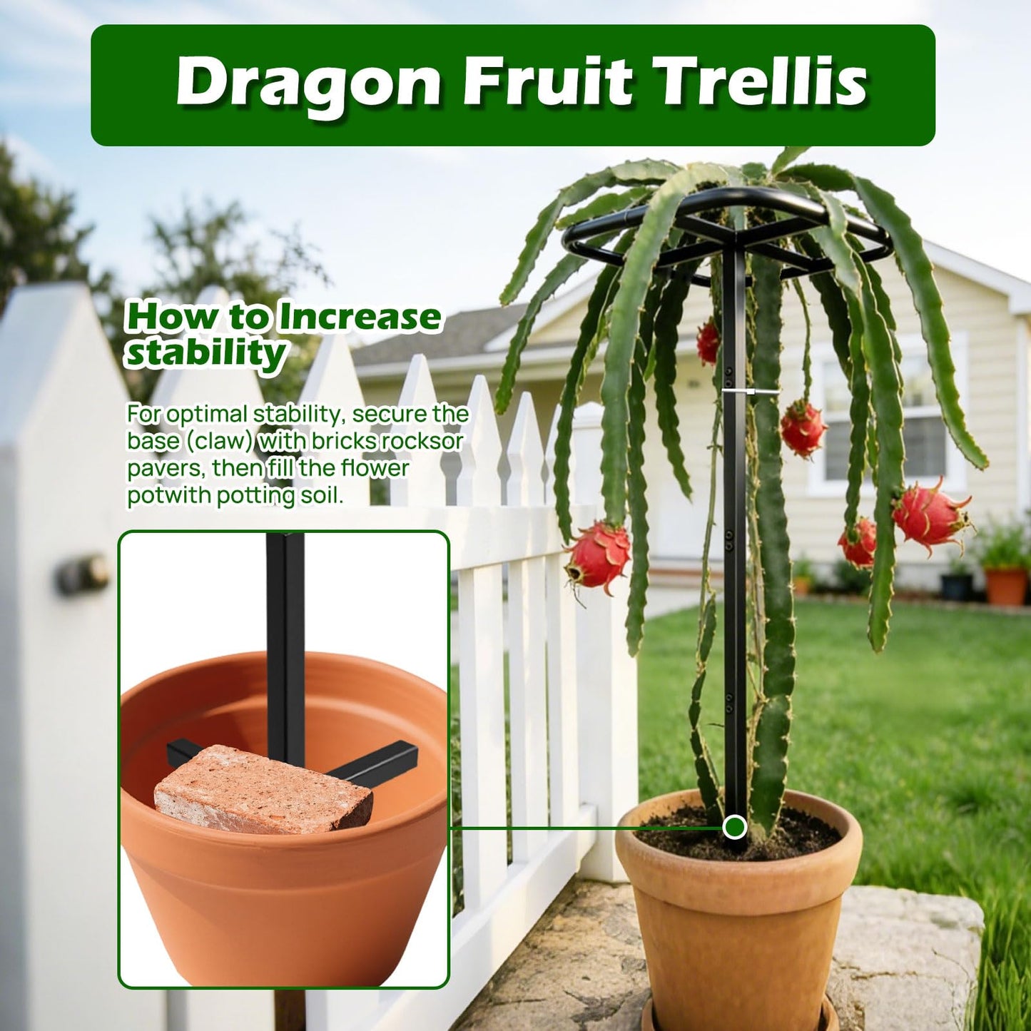 Ansonation Extra Thick Adjustable Dragon Fruit Trellis,Durable Metal Plant Trellis Outdoor Climbing Plants Support Frame for Vertical Gardening Trees Cactus Black