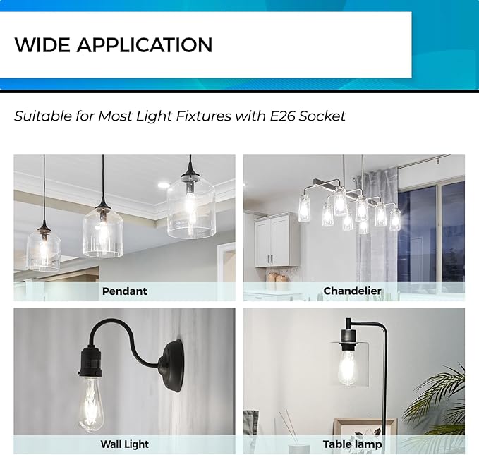 Hizashi LED Edison Bulbs, 6W, Equivalent 60W, Dimmable E26 LED Bulb, Daylight 5000K, 90+ CRI 700 Lumens, ST19 Vintage Light Bulbs, Clear Glass, Pack of 4