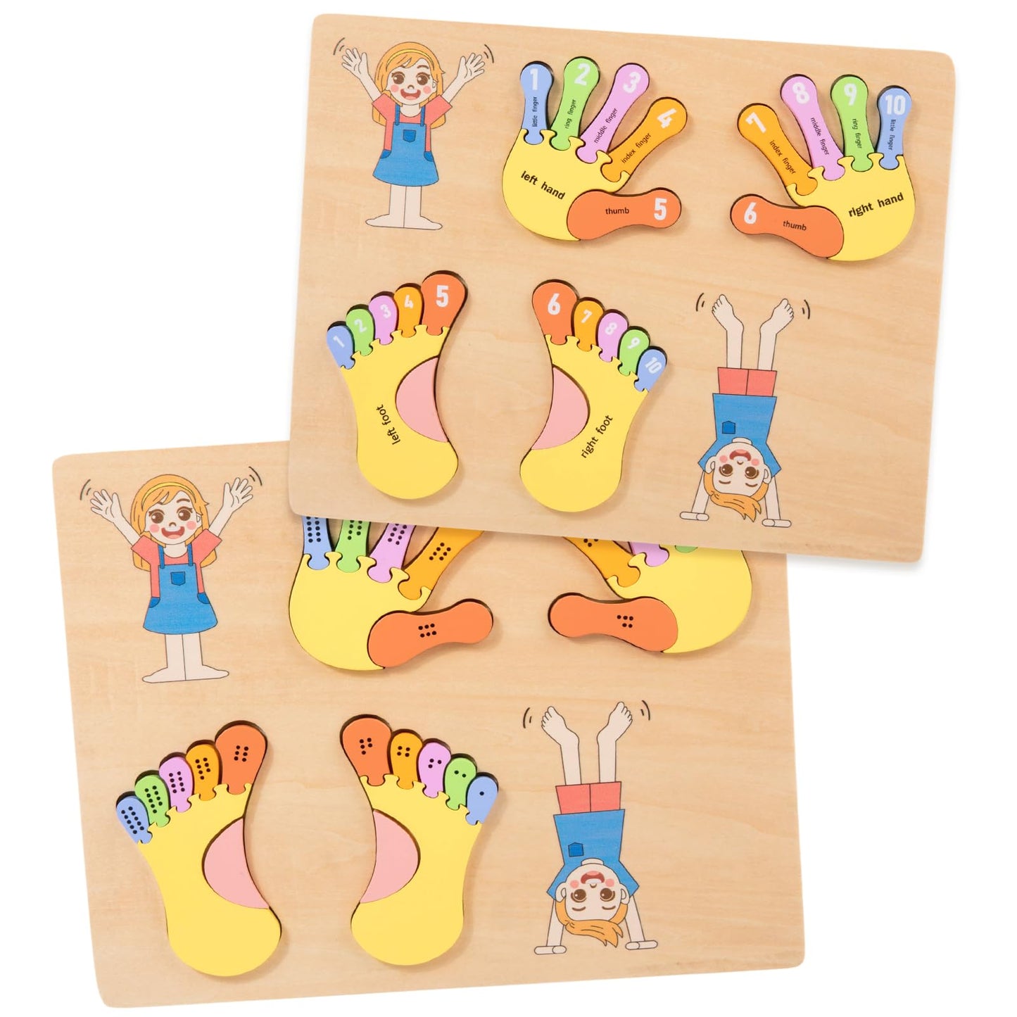 Adena Montessori Number Counting Blocks - Wooden Hands and Feet Shape Toy for Kids, Sorting & Counting Math for Home Classroom, Learn Numbers & Left and Right with Safe Wooden Blocks for Toddlers 3-4
