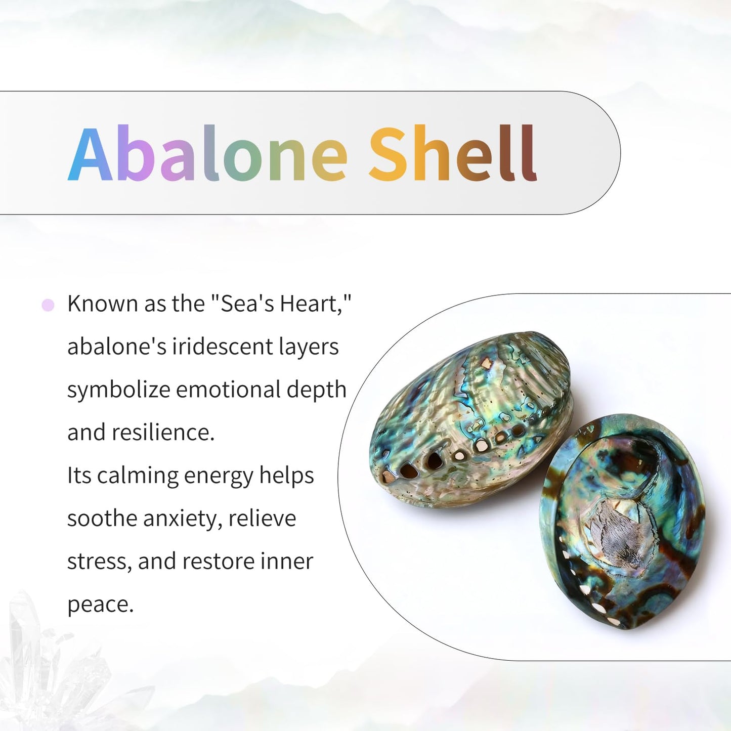 TUMBEELLUWA 10 Pcs Abalone Shell Oval Beads for Jewelry Making 12 x 16 mm, No Hole Beads Flat Back Cabochons for Crafts DIY Decoration