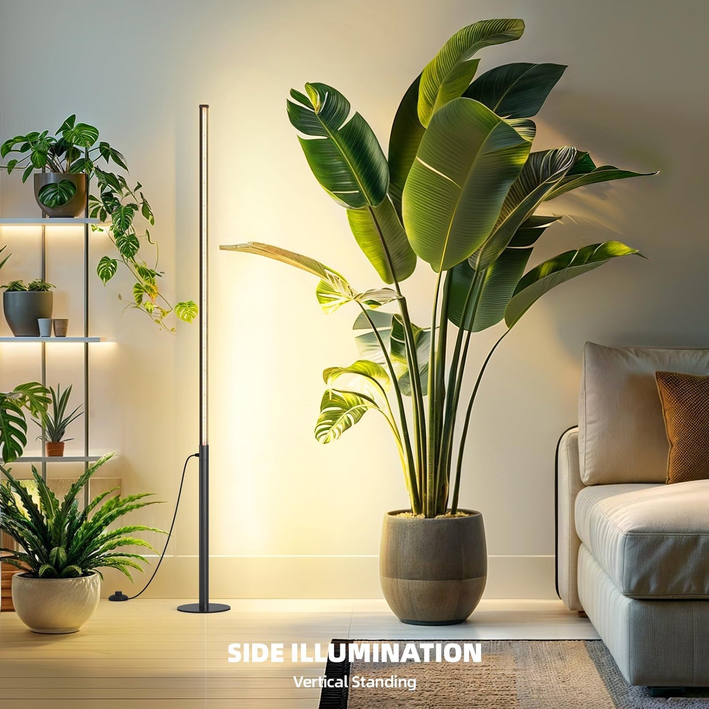Barrina T10 Pro Standing Grow Light with Timer, 42W, 169 LEDs, Full Spectrum Vertical Grow Light for Indoor, Wide Coverage, 4FT to 5.6FT Height with Foot Switch, Ideal for Flowering and Tall Plants