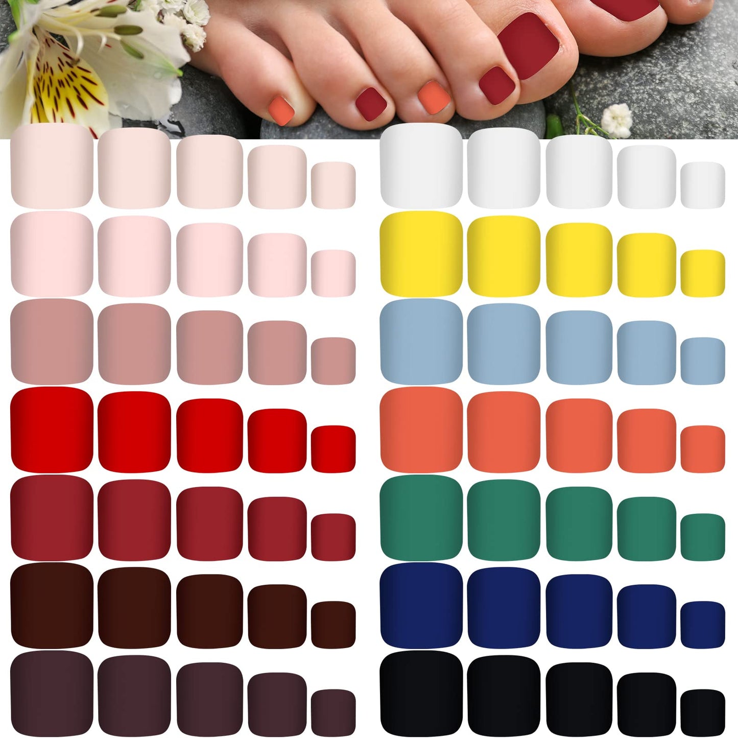 Maitys 336 Pieces 12 Sets Toenail Press on Fake Toe Nails Short Square False Glue on Solid Color Full Cover Press Nails Matte Fake Toenails for Women(Stylish Colors)